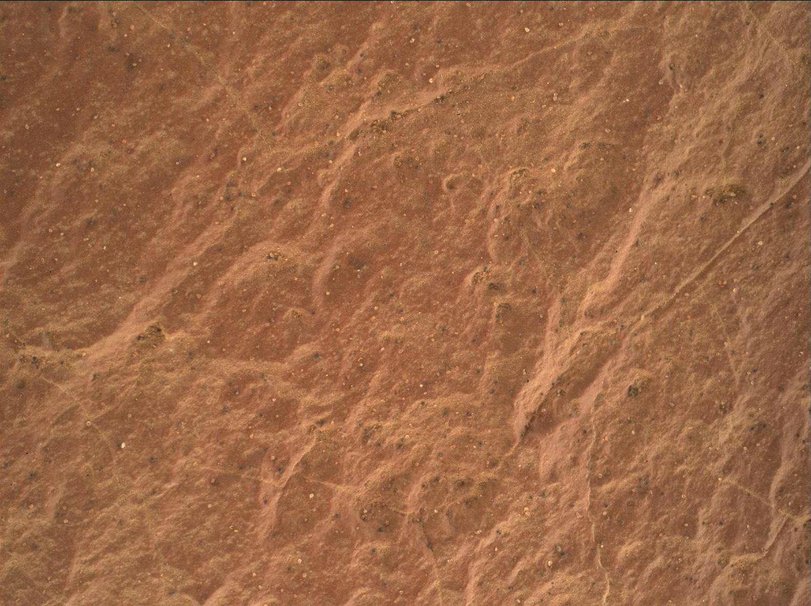 Nasa's Mars rover Curiosity acquired this image using its Mars Hand Lens Imager (MAHLI) on Sol 1584