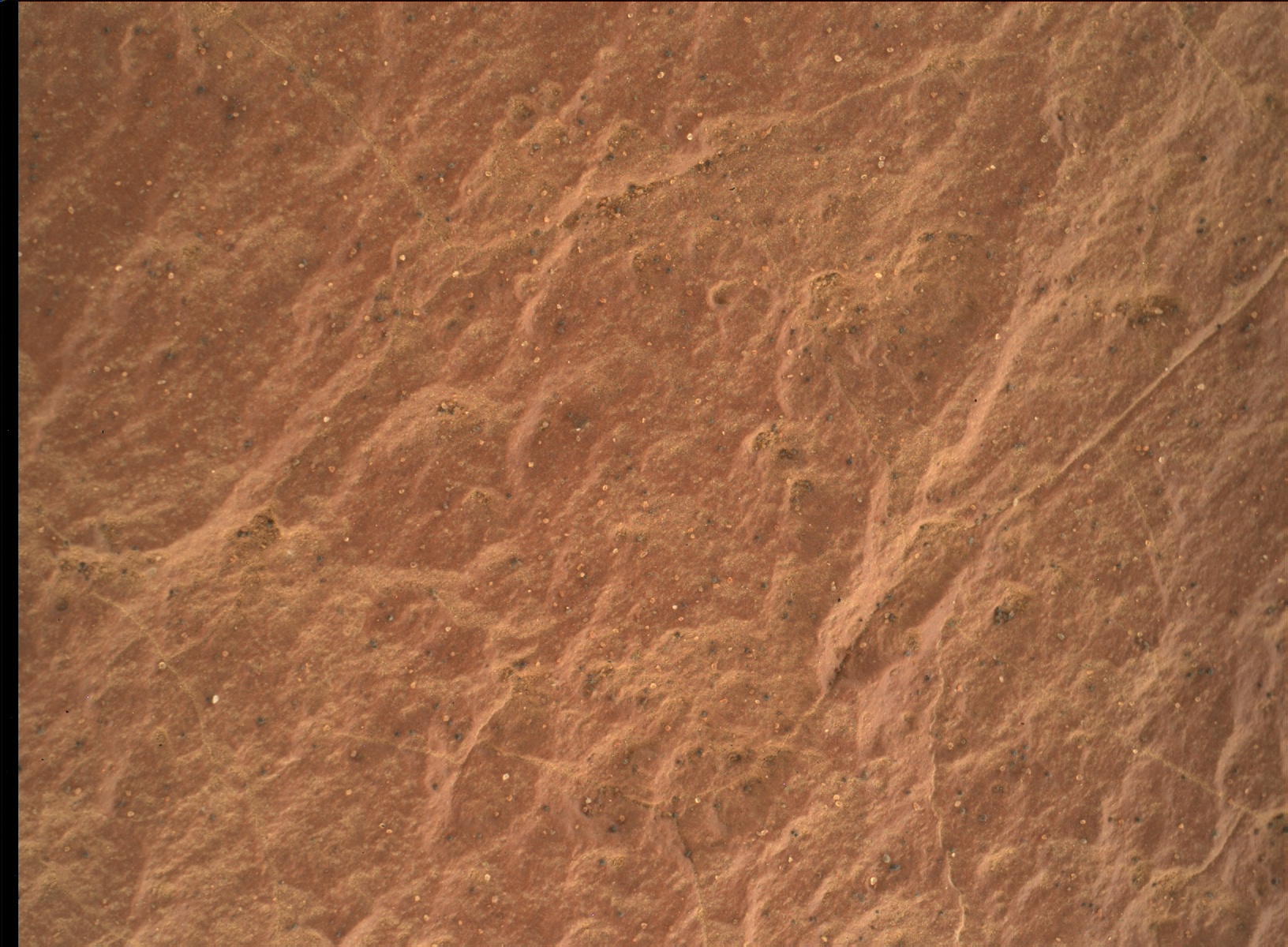 Nasa's Mars rover Curiosity acquired this image using its Mars Hand Lens Imager (MAHLI) on Sol 1584