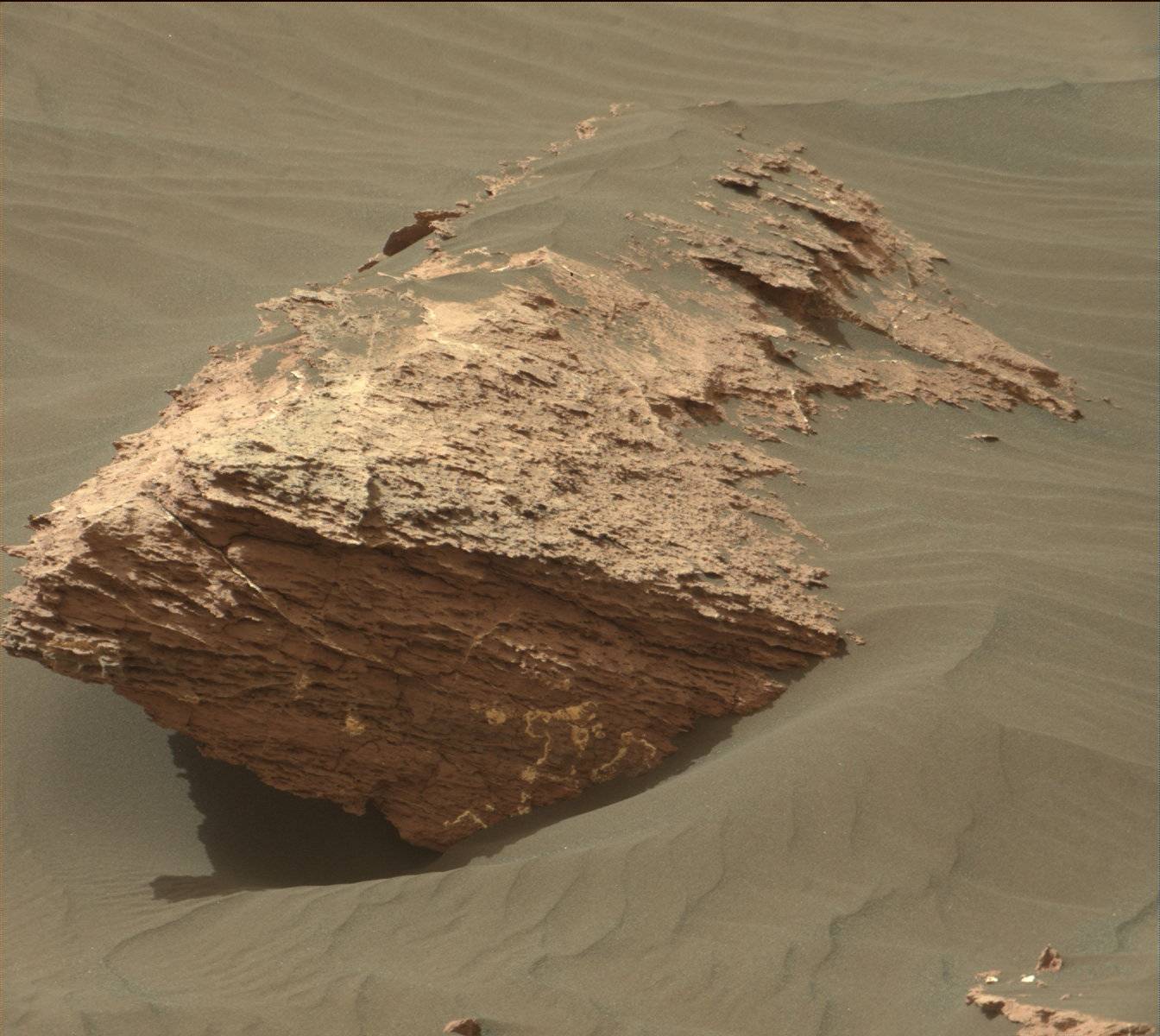 Nasa's Mars rover Curiosity acquired this image using its Mast Camera (Mastcam) on Sol 1586