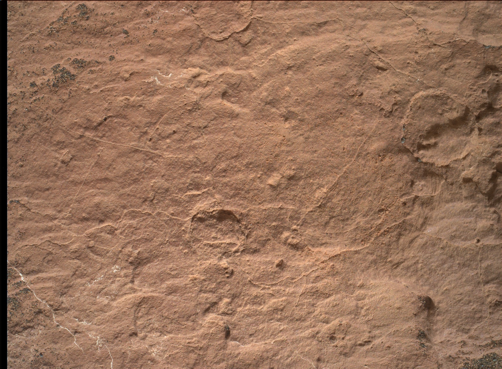 Nasa's Mars rover Curiosity acquired this image using its Mars Hand Lens Imager (MAHLI) on Sol 1586