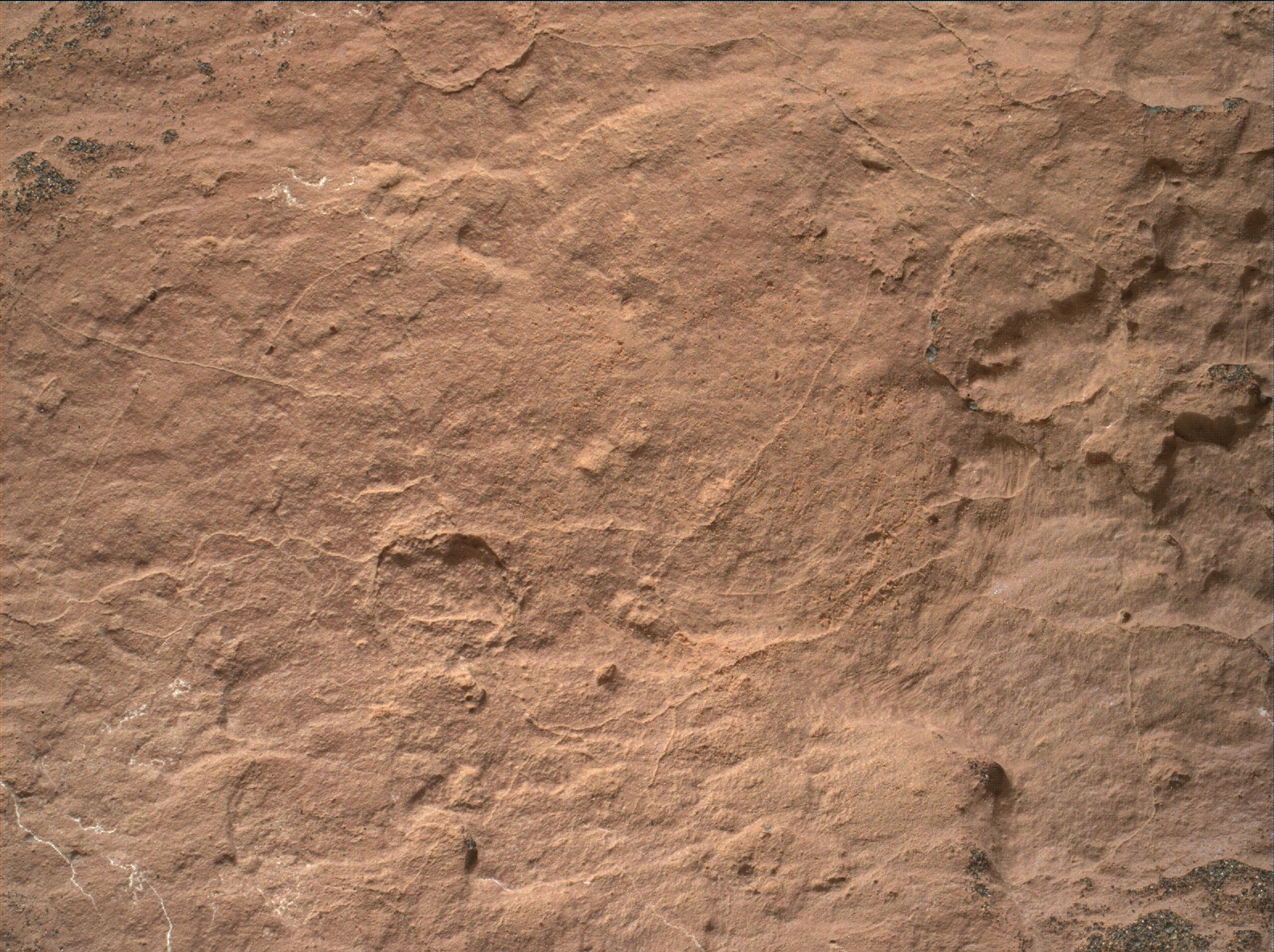 Nasa's Mars rover Curiosity acquired this image using its Mars Hand Lens Imager (MAHLI) on Sol 1587