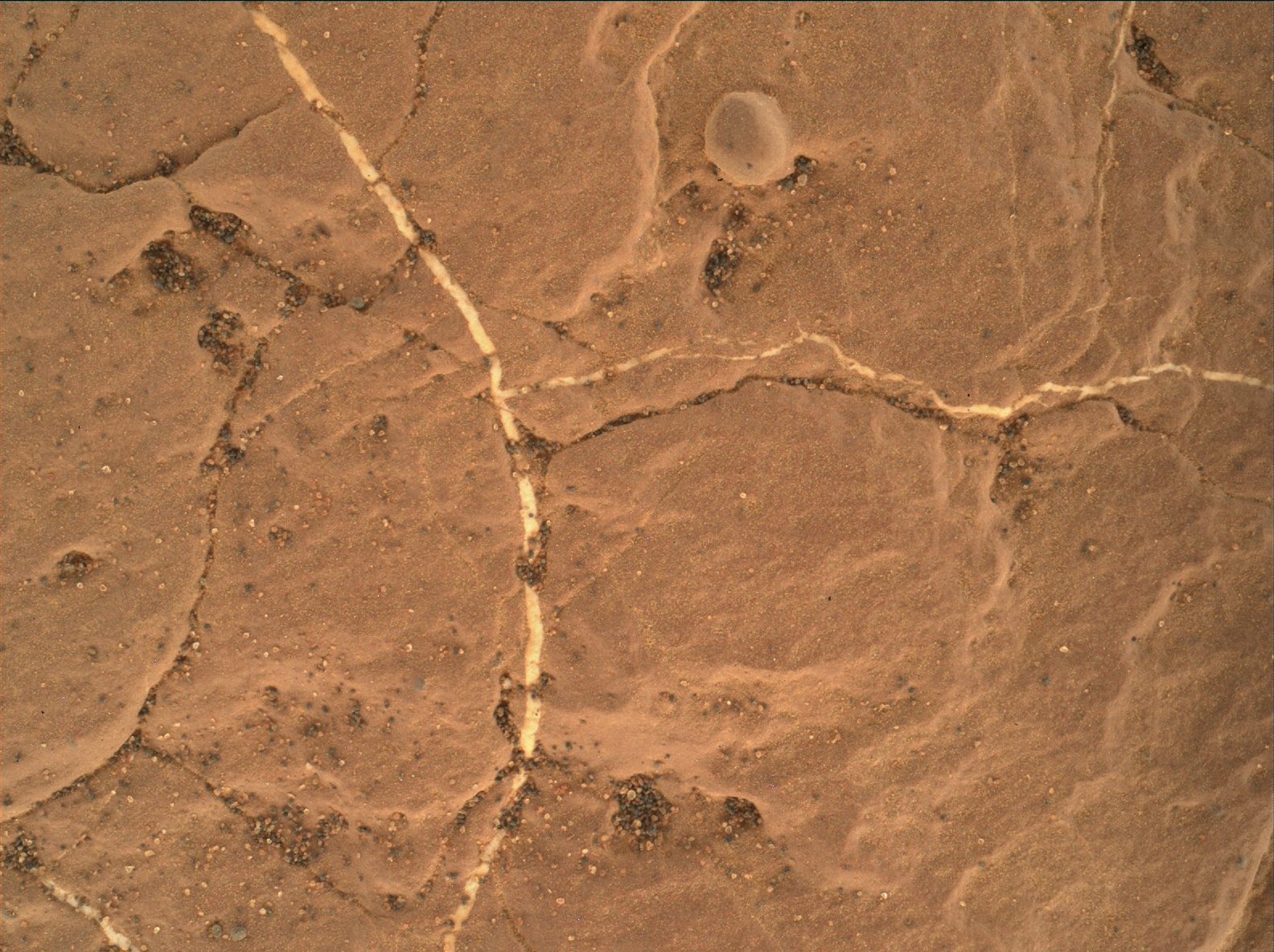 Nasa's Mars rover Curiosity acquired this image using its Mars Hand Lens Imager (MAHLI) on Sol 1589