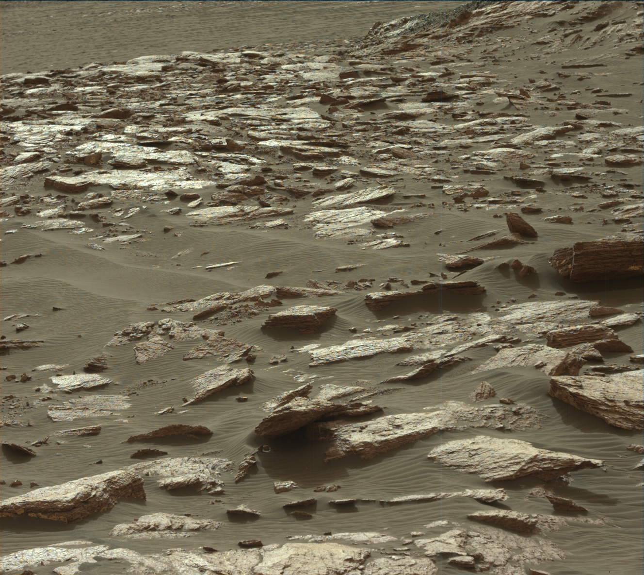 Nasa's Mars rover Curiosity acquired this image using its Mast Camera (Mastcam) on Sol 1591