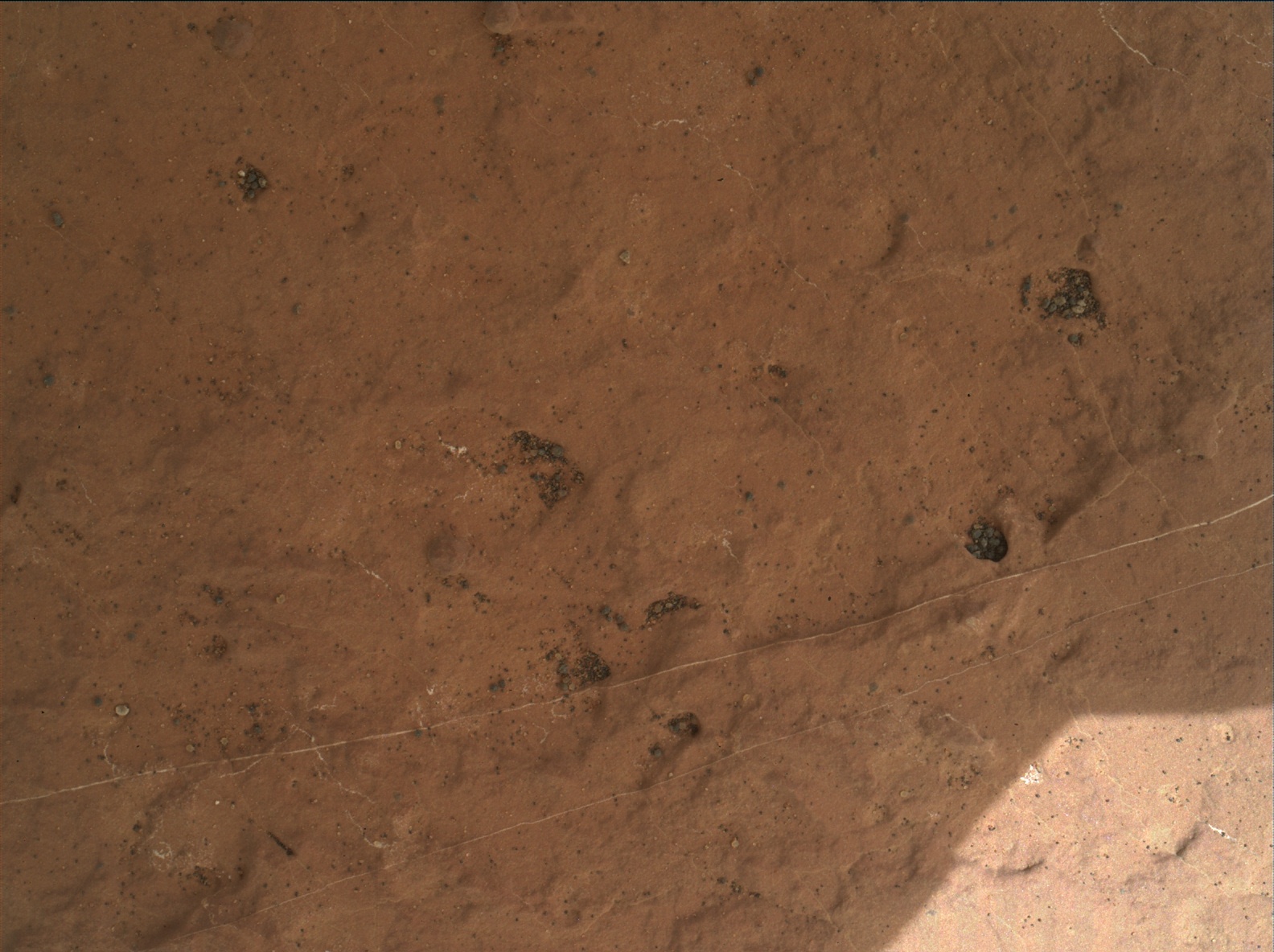 Nasa's Mars rover Curiosity acquired this image using its Mars Hand Lens Imager (MAHLI) on Sol 1591