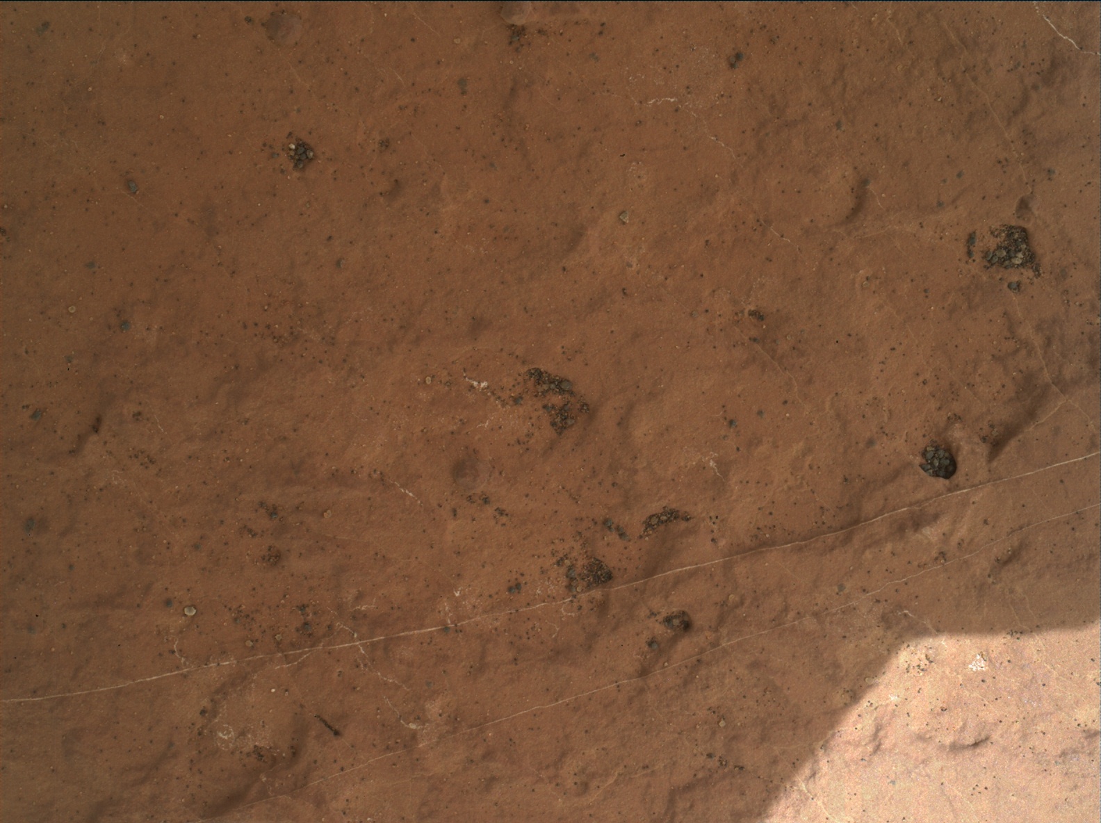 Nasa's Mars rover Curiosity acquired this image using its Mars Hand Lens Imager (MAHLI) on Sol 1591