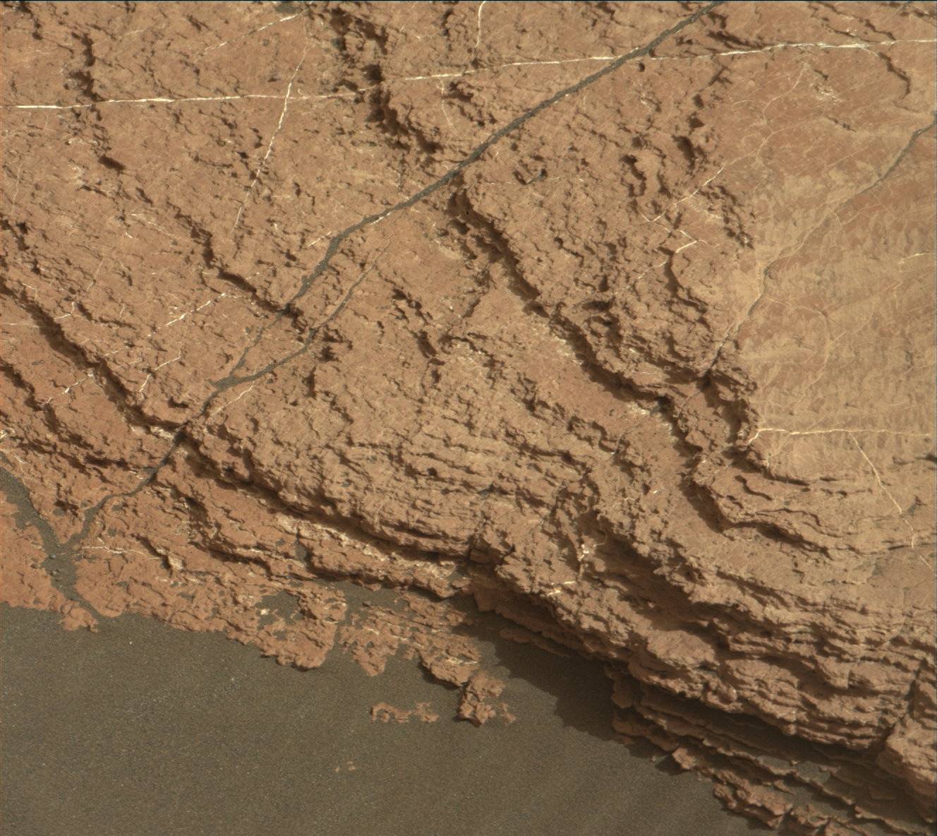Nasa's Mars rover Curiosity acquired this image using its Mast Camera (Mastcam) on Sol 1593