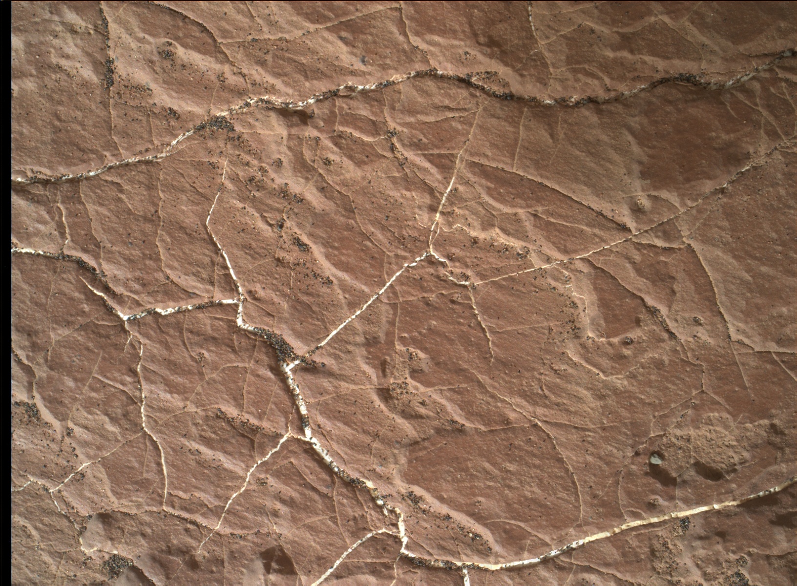 Nasa's Mars rover Curiosity acquired this image using its Mars Hand Lens Imager (MAHLI) on Sol 1593