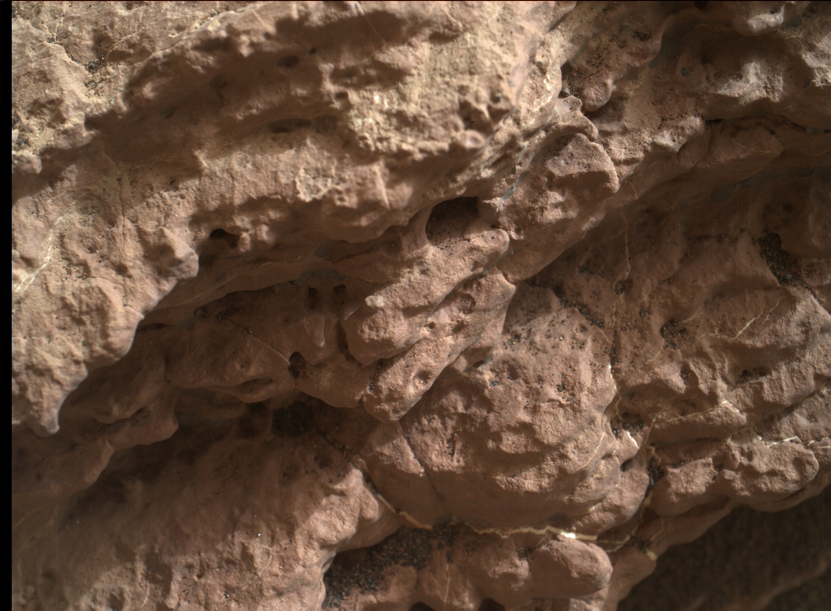 Nasa's Mars rover Curiosity acquired this image using its Mars Hand Lens Imager (MAHLI) on Sol 1593