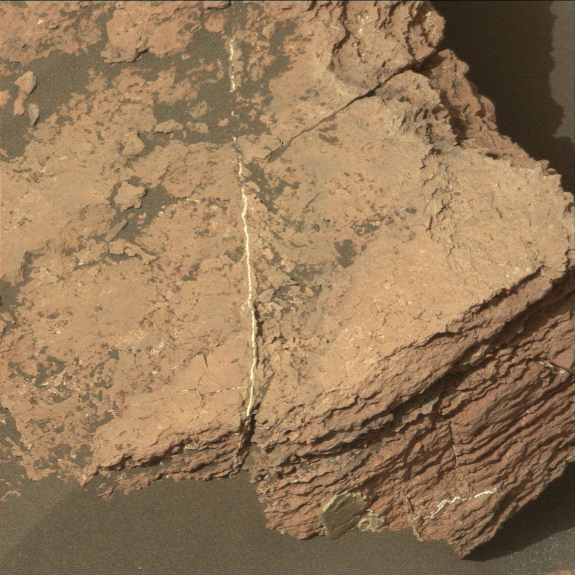 Nasa's Mars rover Curiosity acquired this image using its Mast Camera (Mastcam) on Sol 1596