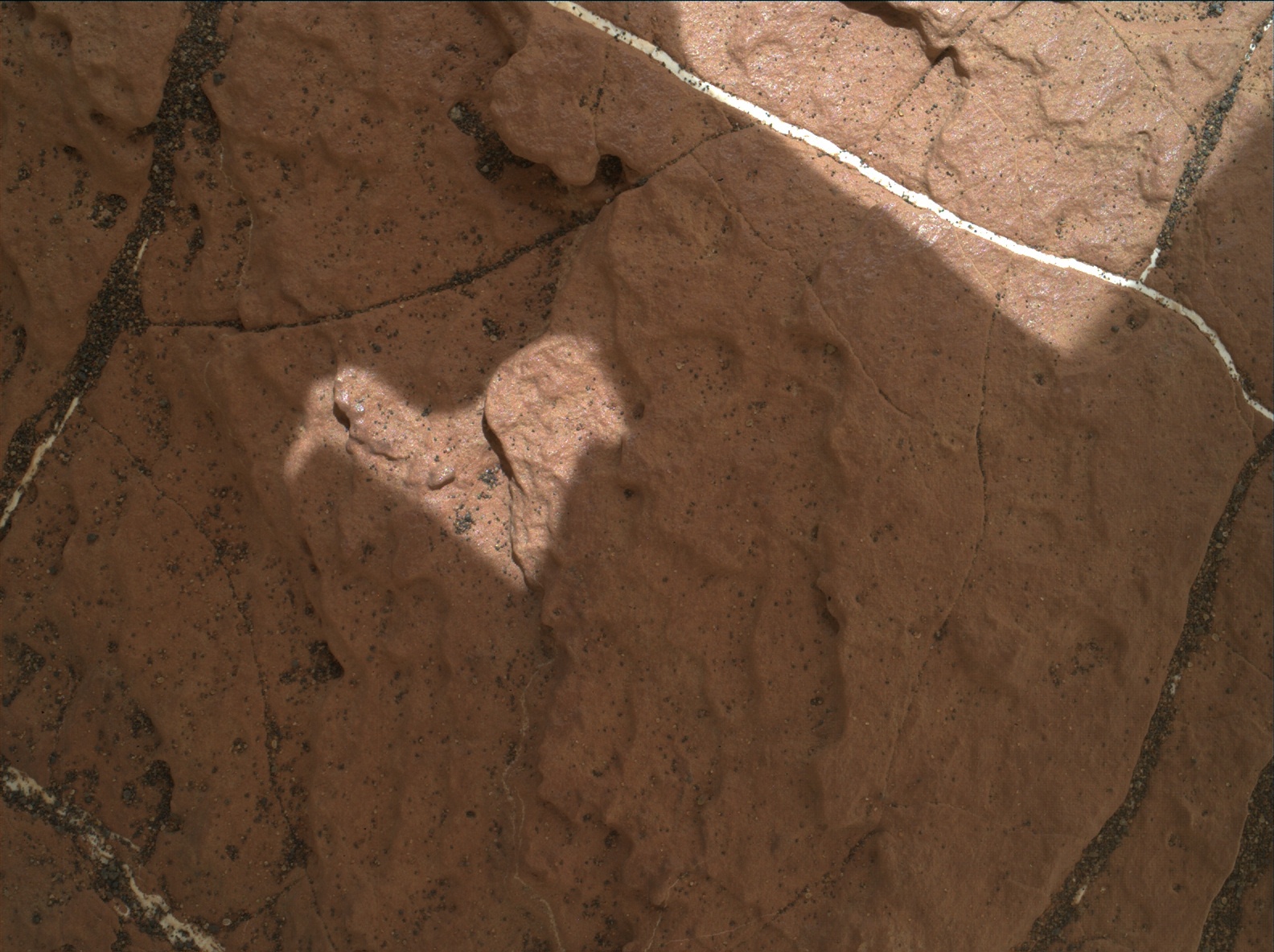 Nasa's Mars rover Curiosity acquired this image using its Mars Hand Lens Imager (MAHLI) on Sol 1596