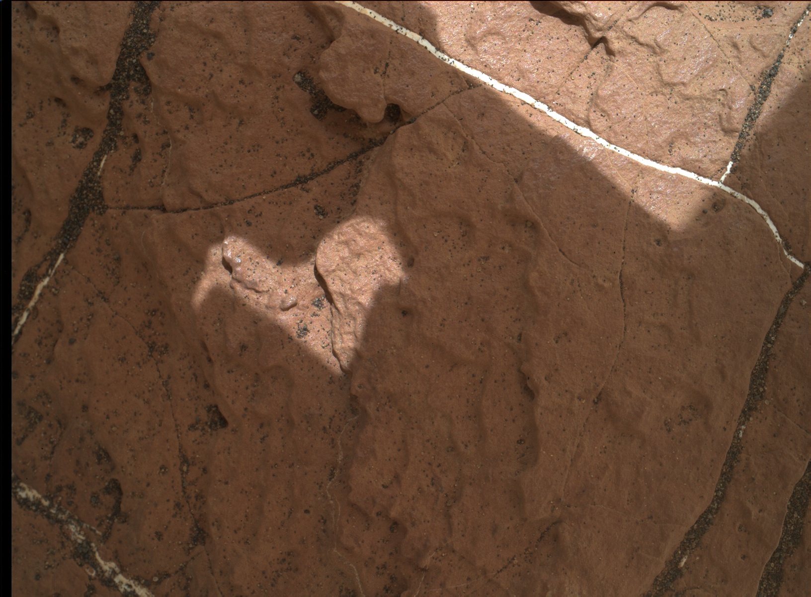 Nasa's Mars rover Curiosity acquired this image using its Mars Hand Lens Imager (MAHLI) on Sol 1596