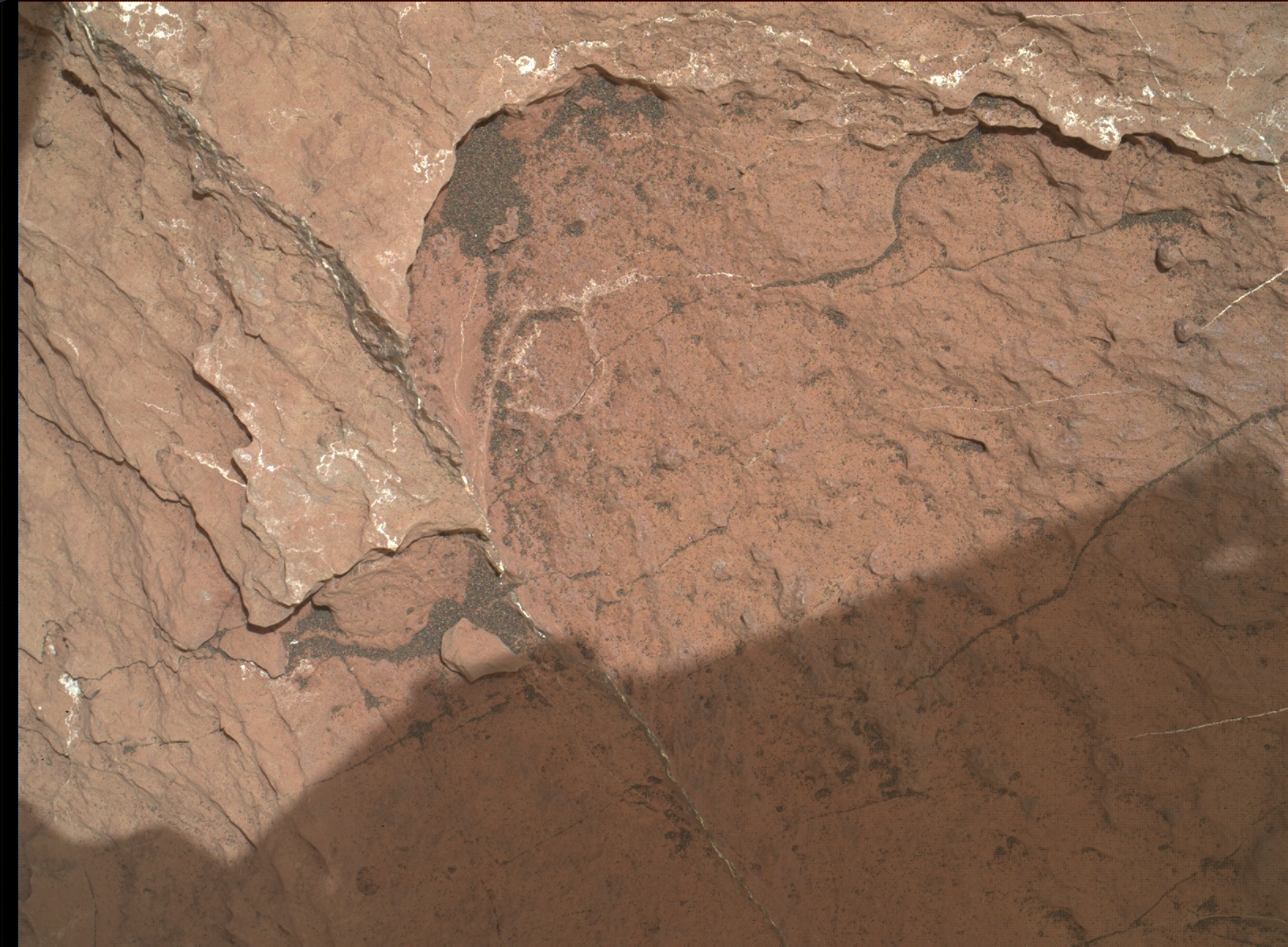 Nasa's Mars rover Curiosity acquired this image using its Mars Hand Lens Imager (MAHLI) on Sol 1598