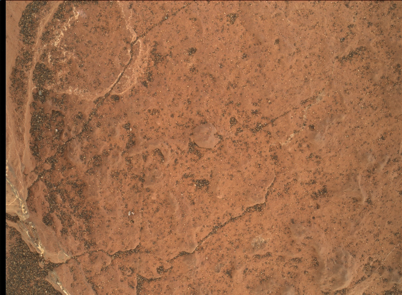 Nasa's Mars rover Curiosity acquired this image using its Mars Hand Lens Imager (MAHLI) on Sol 1598