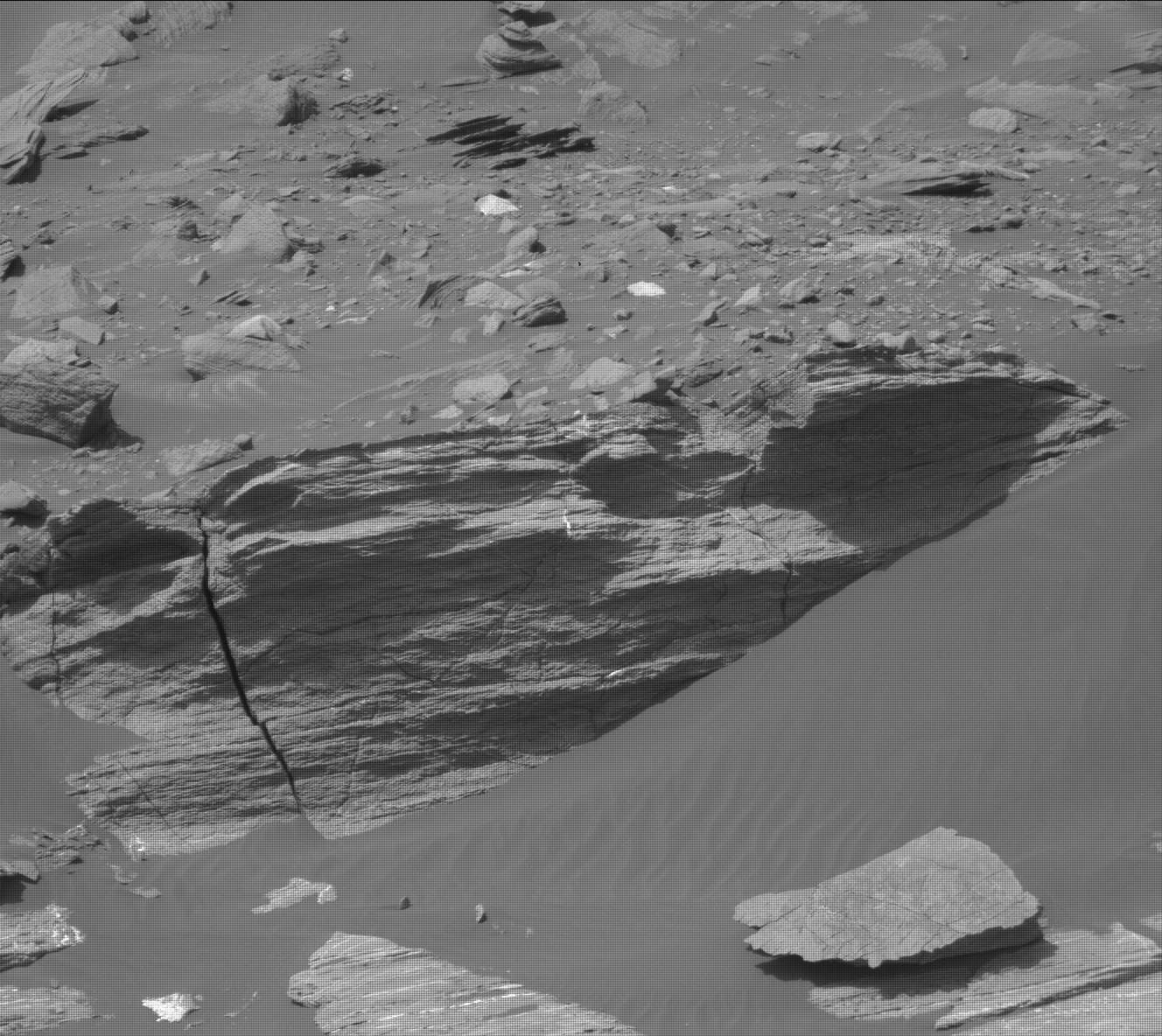 Nasa's Mars rover Curiosity acquired this image using its Mast Camera (Mastcam) on Sol 1600