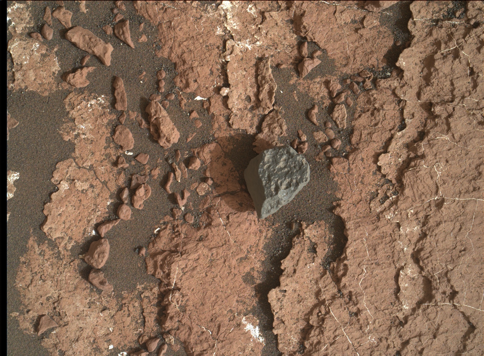Nasa's Mars rover Curiosity acquired this image using its Mars Hand Lens Imager (MAHLI) on Sol 1600