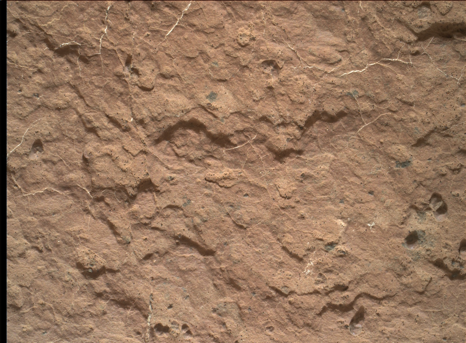 Nasa's Mars rover Curiosity acquired this image using its Mars Hand Lens Imager (MAHLI) on Sol 1600