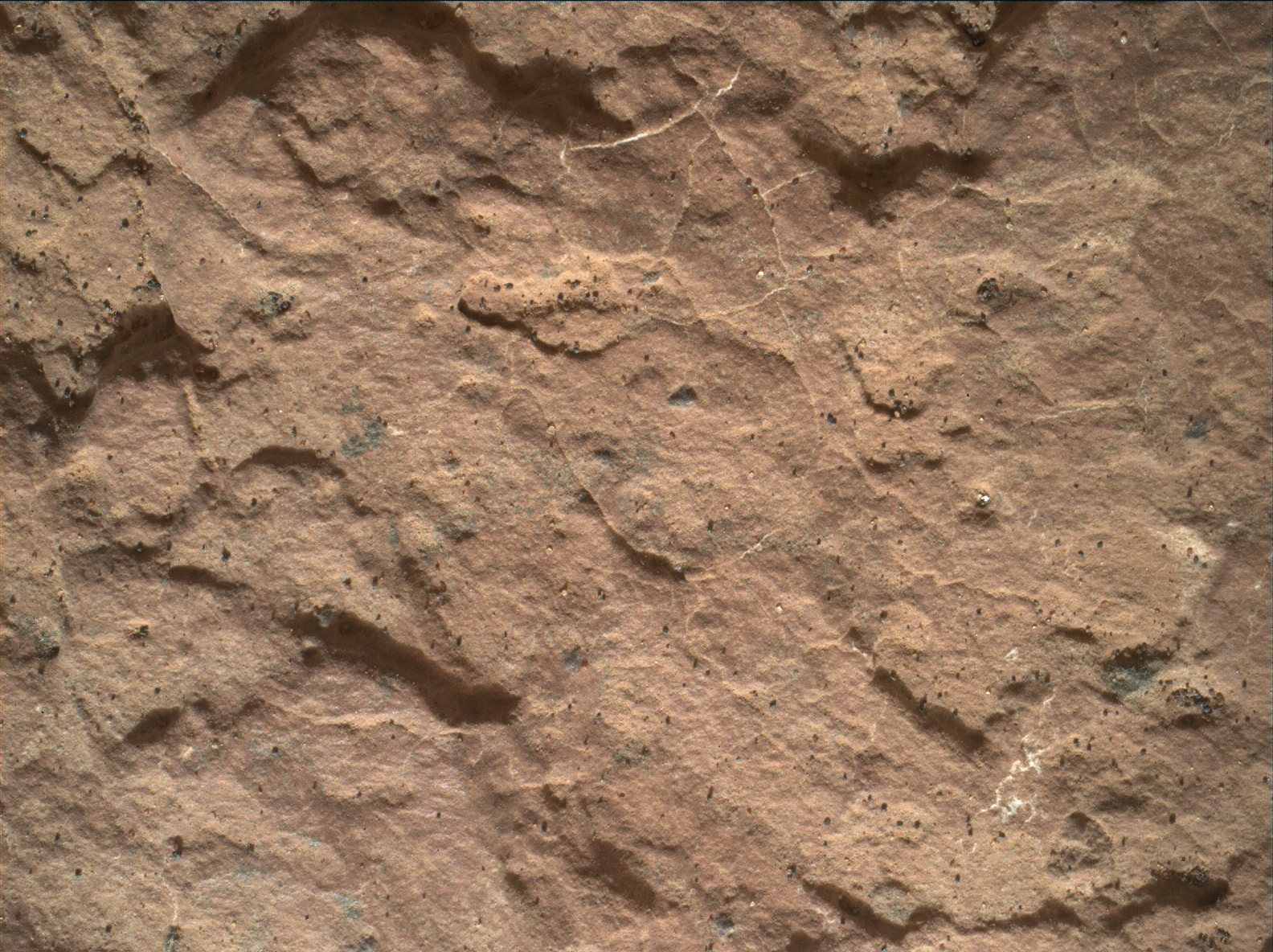 Nasa's Mars rover Curiosity acquired this image using its Mars Hand Lens Imager (MAHLI) on Sol 1601