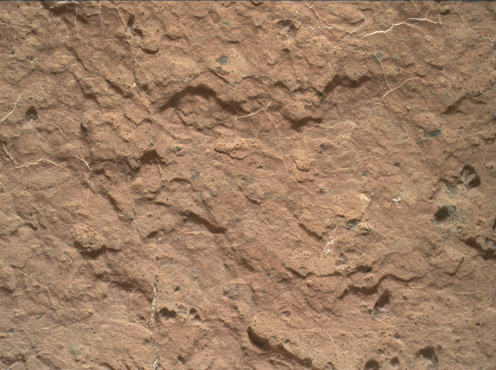 Nasa's Mars rover Curiosity acquired this image using its Mars Hand Lens Imager (MAHLI) on Sol 1601