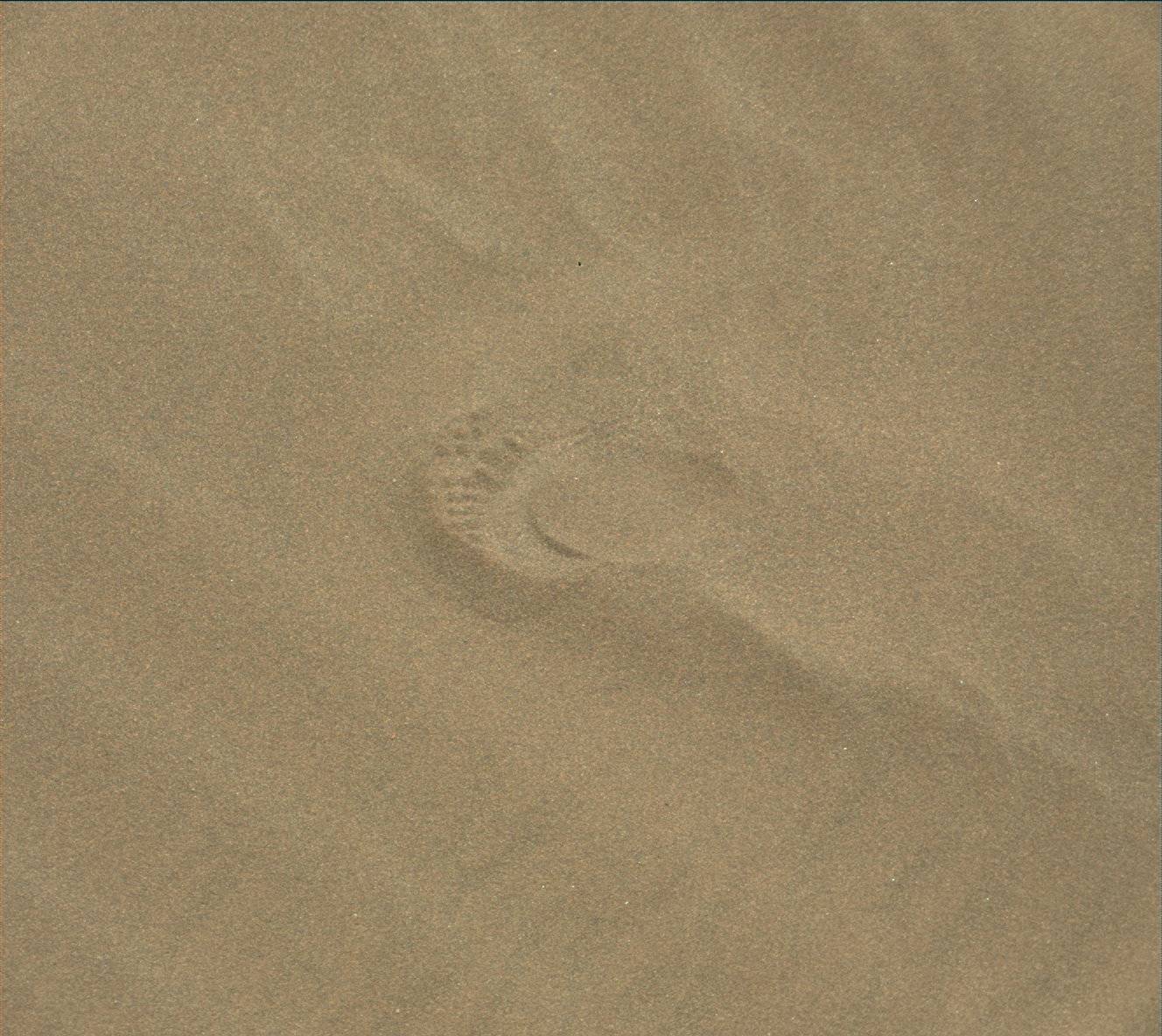 Nasa's Mars rover Curiosity acquired this image using its Mast Camera (Mastcam) on Sol 1603