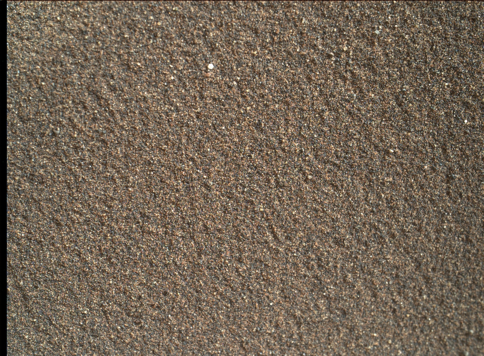Nasa's Mars rover Curiosity acquired this image using its Mars Hand Lens Imager (MAHLI) on Sol 1603