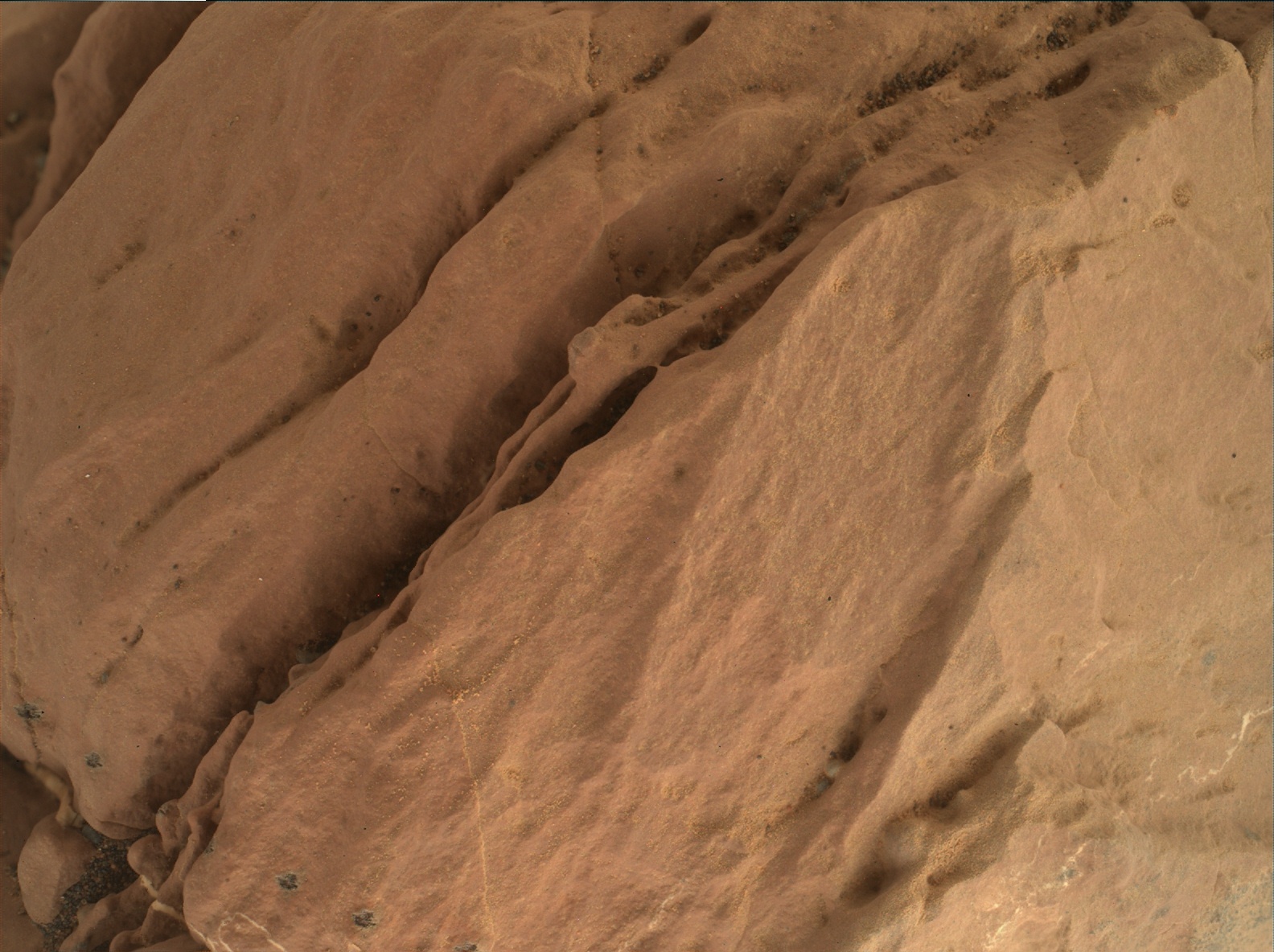 Nasa's Mars rover Curiosity acquired this image using its Mars Hand Lens Imager (MAHLI) on Sol 1605