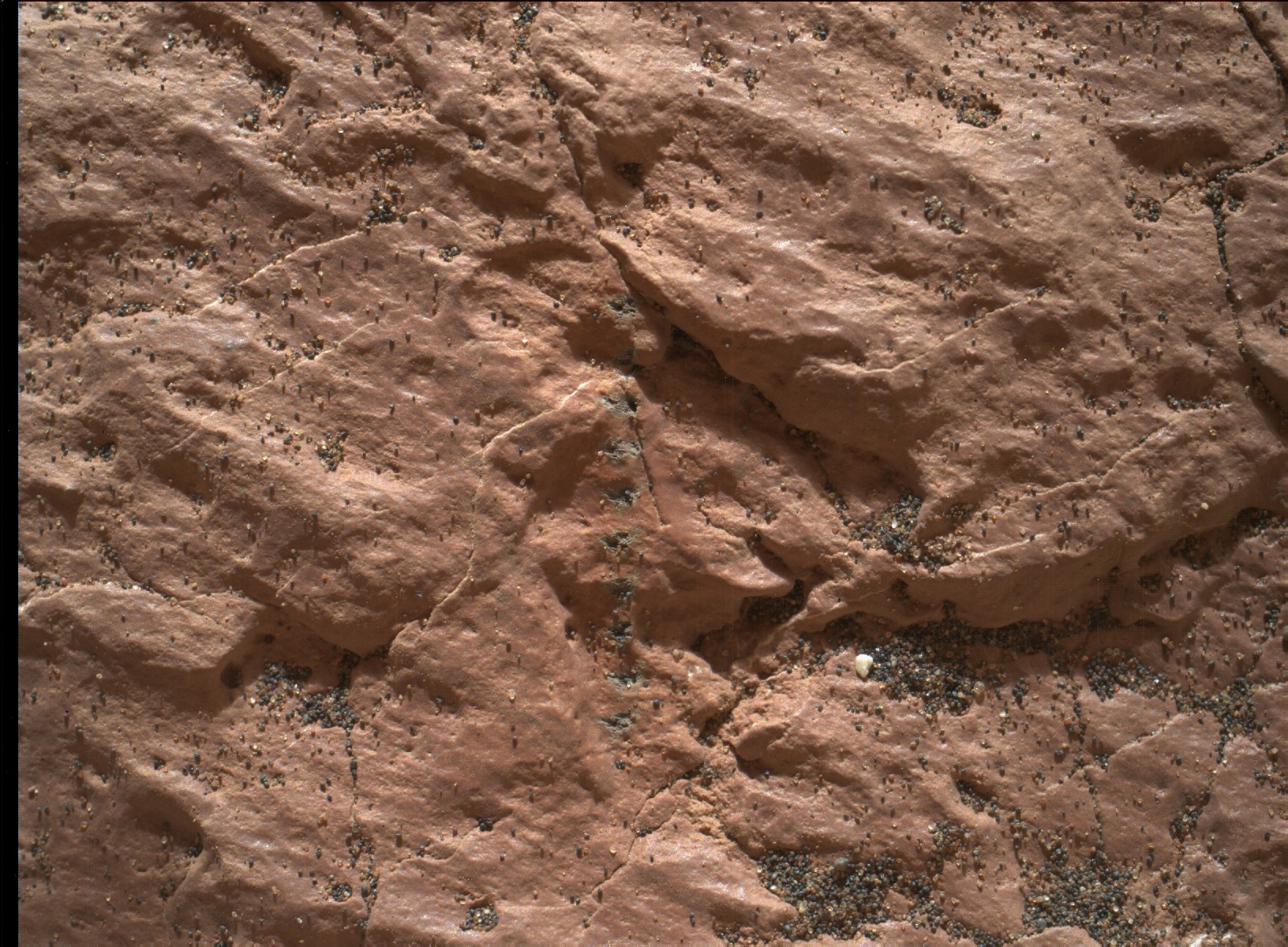 Nasa's Mars rover Curiosity acquired this image using its Mars Hand Lens Imager (MAHLI) on Sol 1606