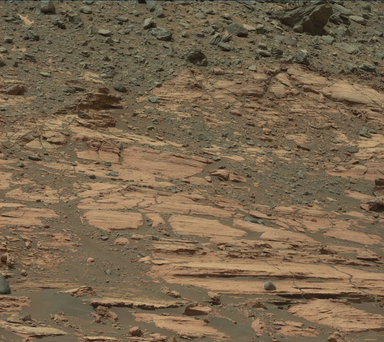 Nasa's Mars rover Curiosity acquired this image using its Mast Camera (Mastcam) on Sol 1608
