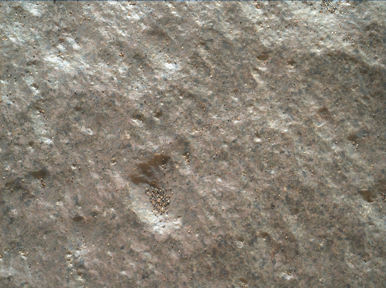 Nasa's Mars rover Curiosity acquired this image using its Mars Hand Lens Imager (MAHLI) on Sol 1608
