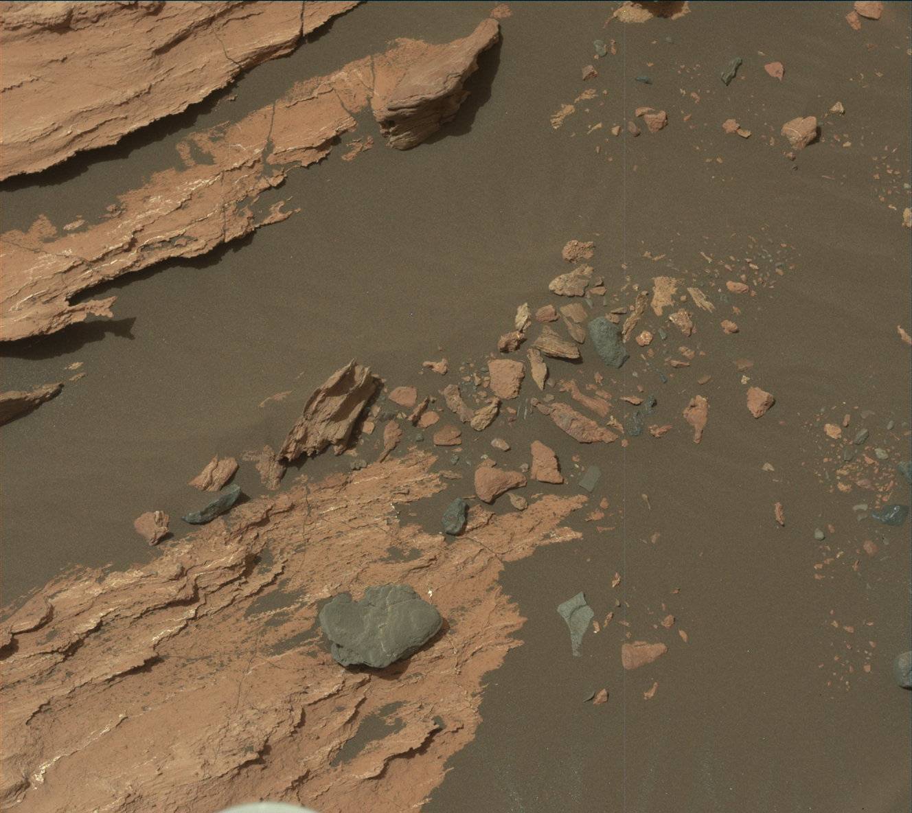 Nasa's Mars rover Curiosity acquired this image using its Mast Camera (Mastcam) on Sol 1610