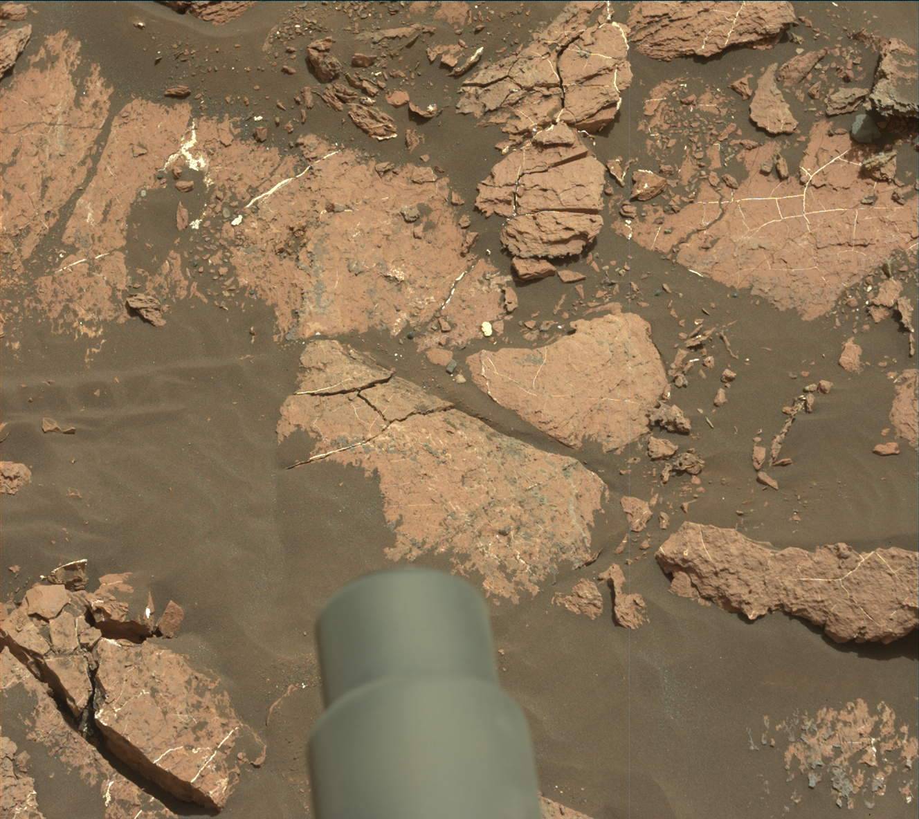 Nasa's Mars rover Curiosity acquired this image using its Mast Camera (Mastcam) on Sol 1610