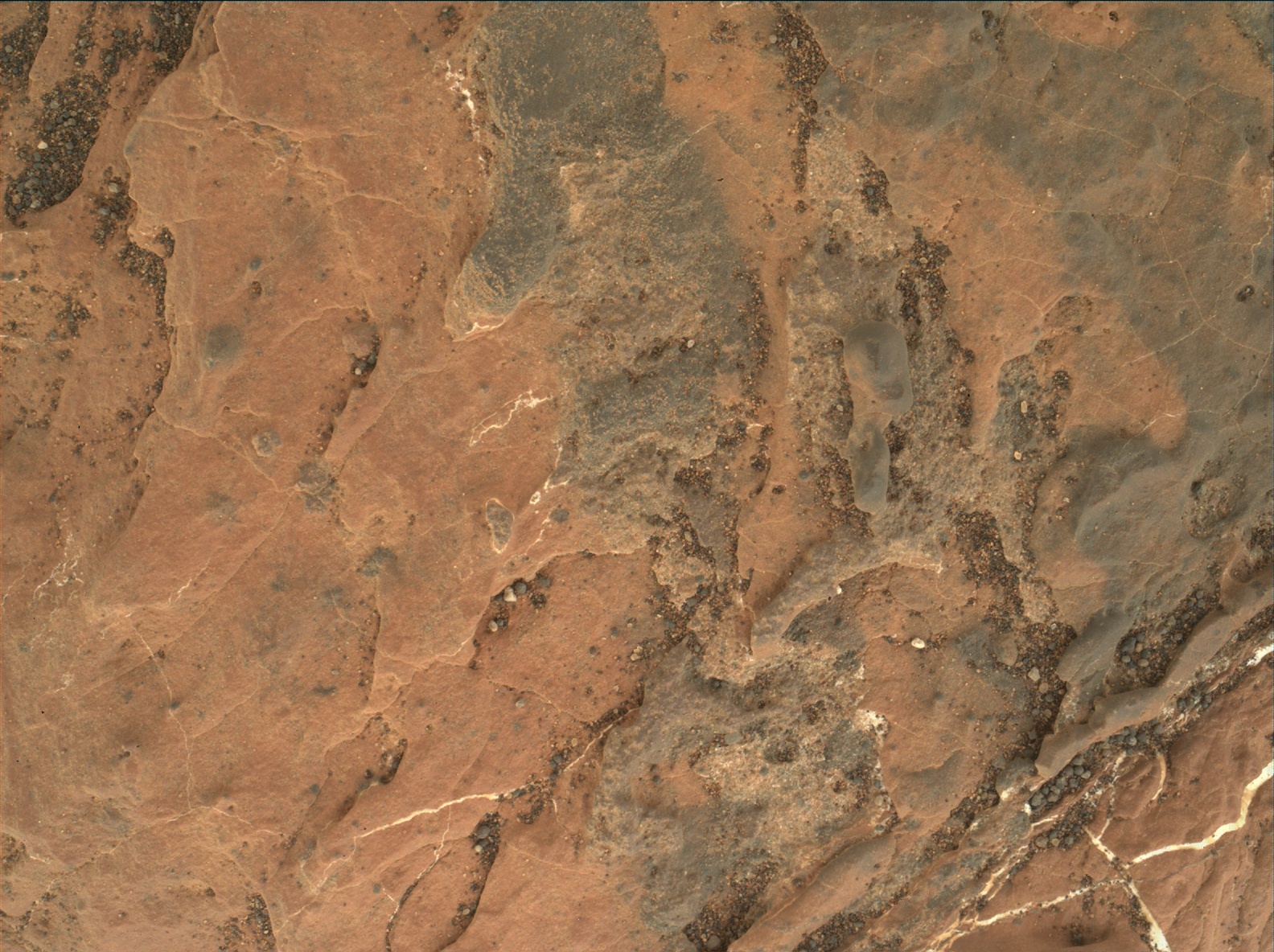Nasa's Mars rover Curiosity acquired this image using its Mars Hand Lens Imager (MAHLI) on Sol 1611