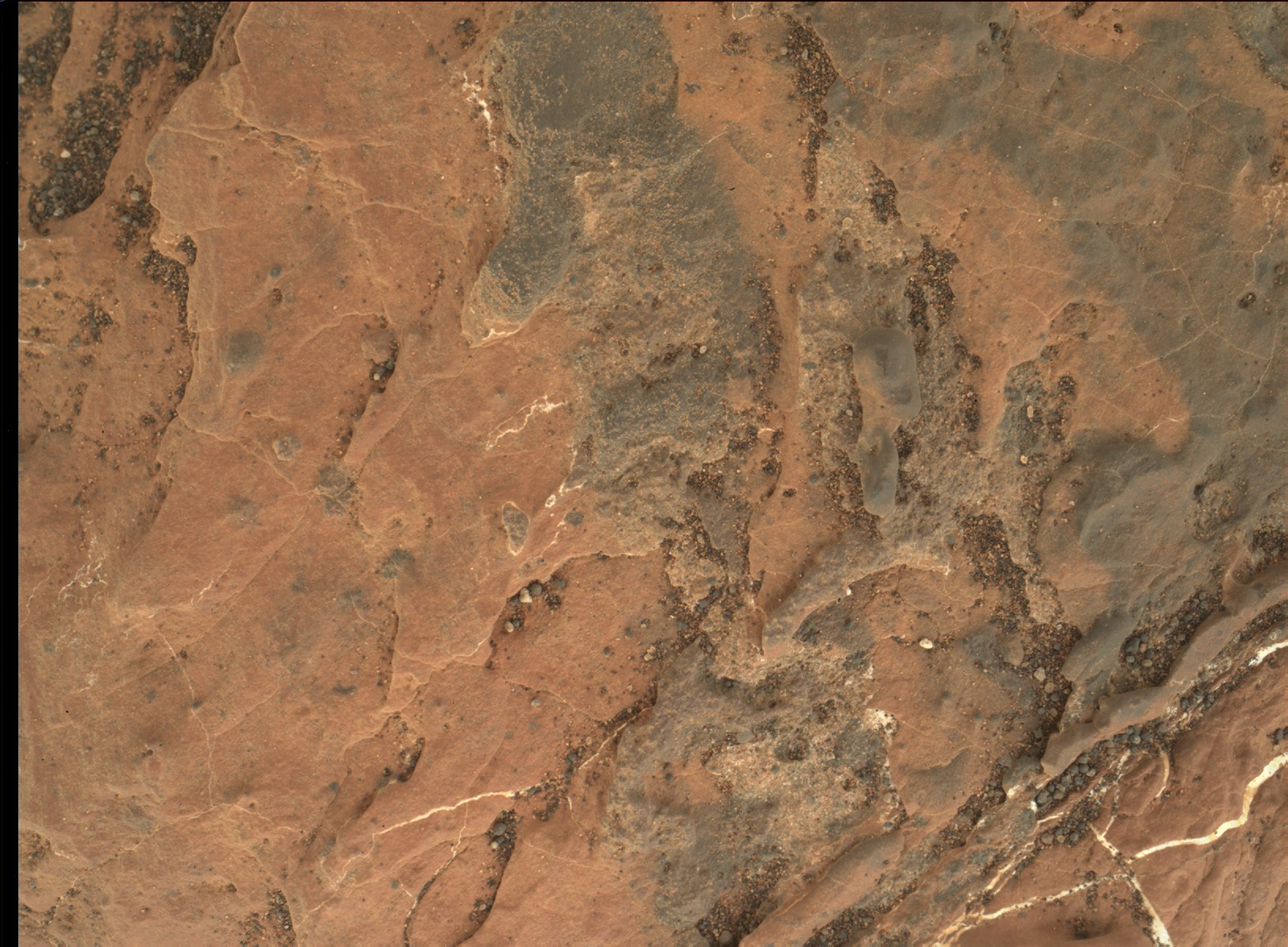 Nasa's Mars rover Curiosity acquired this image using its Mars Hand Lens Imager (MAHLI) on Sol 1611