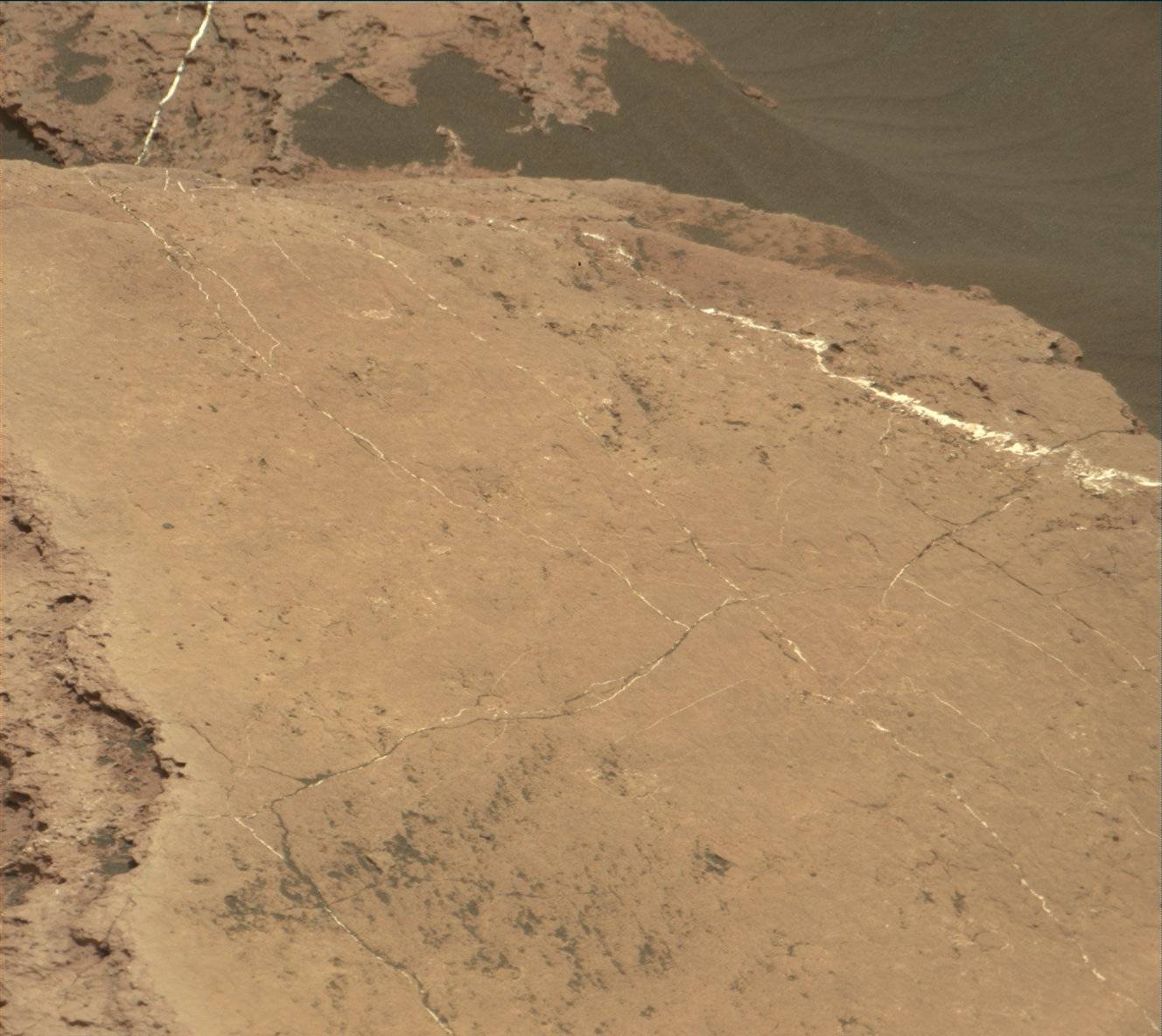 Nasa's Mars rover Curiosity acquired this image using its Mast Camera (Mastcam) on Sol 1614