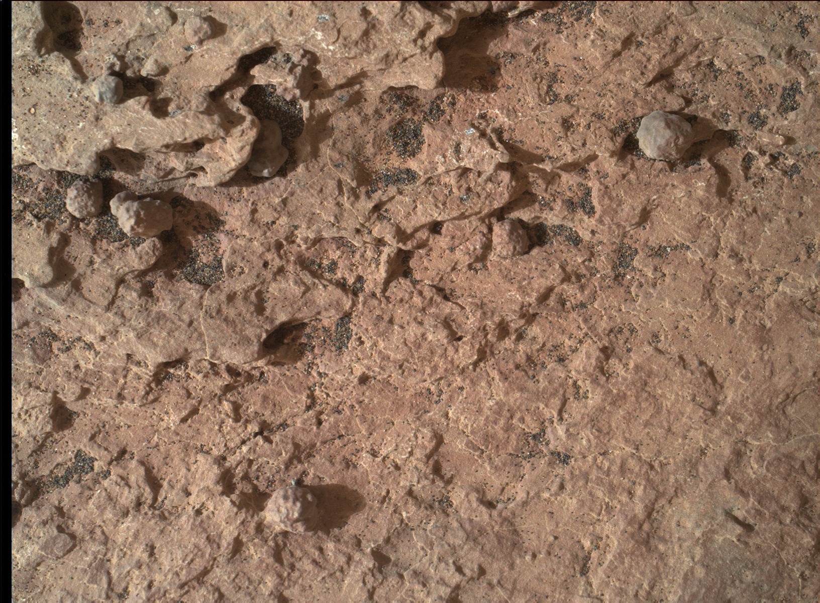 Nasa's Mars rover Curiosity acquired this image using its Mars Hand Lens Imager (MAHLI) on Sol 1614