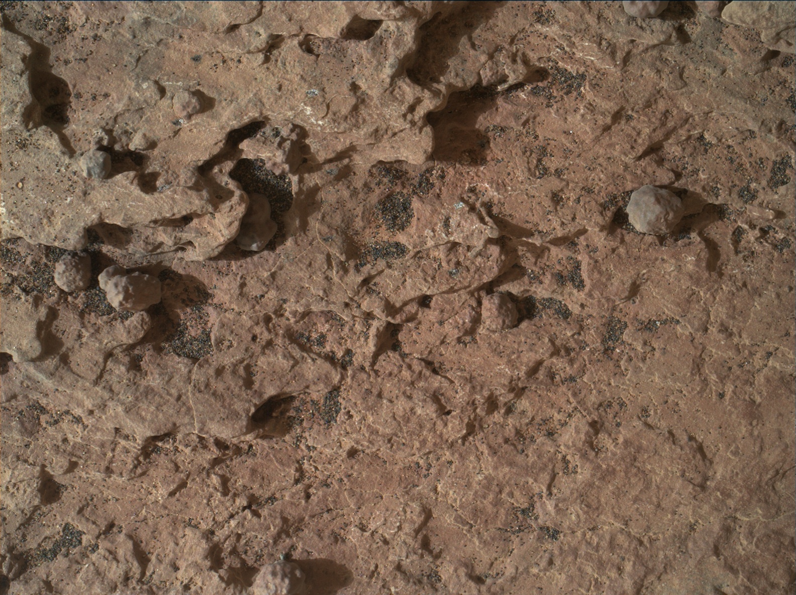 Nasa's Mars rover Curiosity acquired this image using its Mars Hand Lens Imager (MAHLI) on Sol 1615