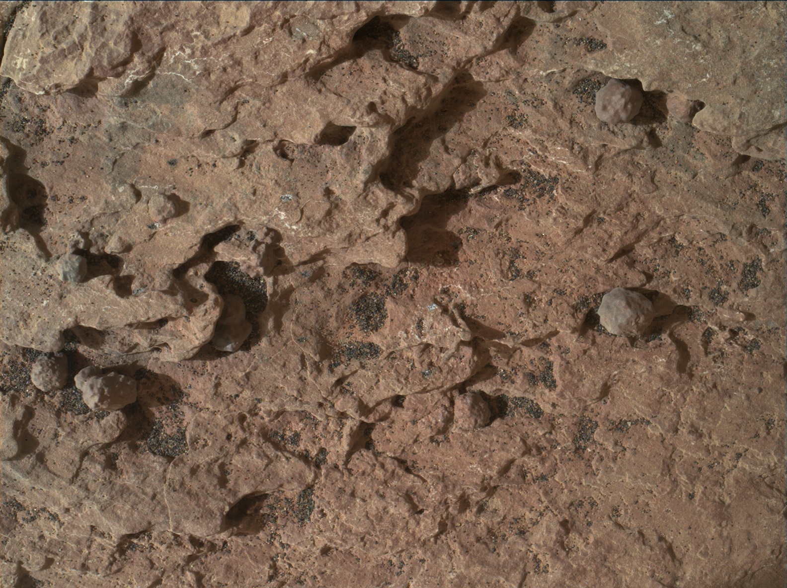 Nasa's Mars rover Curiosity acquired this image using its Mars Hand Lens Imager (MAHLI) on Sol 1615