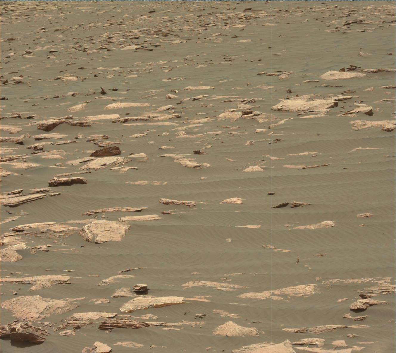 Nasa's Mars rover Curiosity acquired this image using its Mast Camera (Mastcam) on Sol 1616