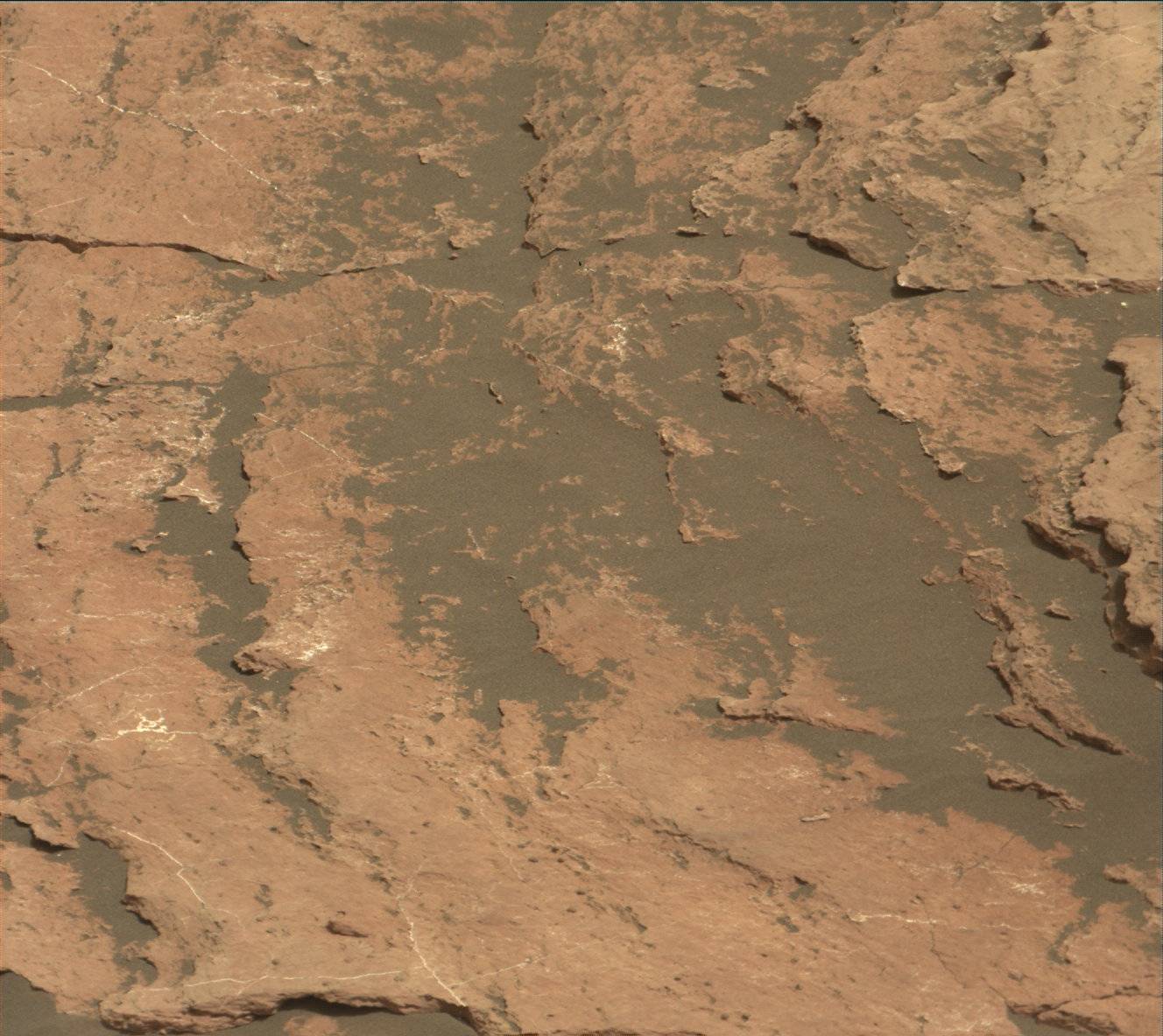 Nasa's Mars rover Curiosity acquired this image using its Mast Camera (Mastcam) on Sol 1617