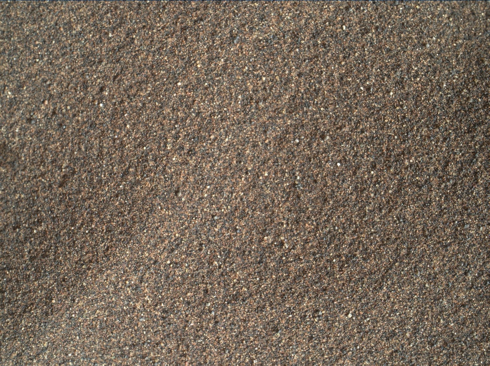 Nasa's Mars rover Curiosity acquired this image using its Mars Hand Lens Imager (MAHLI) on Sol 1618
