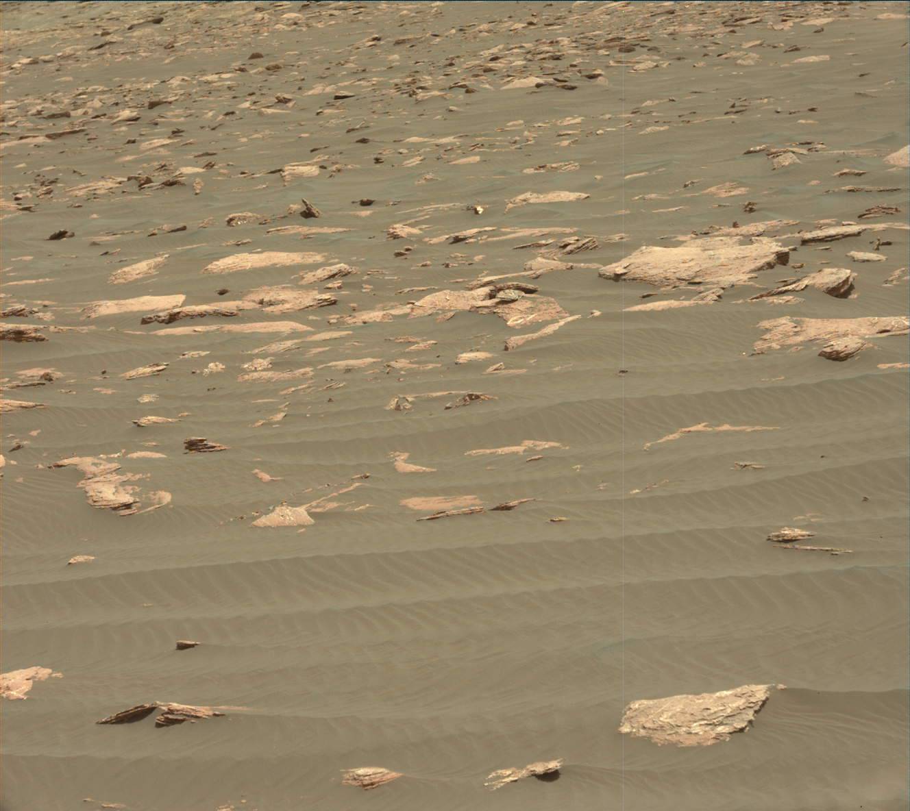 Nasa's Mars rover Curiosity acquired this image using its Mast Camera (Mastcam) on Sol 1619