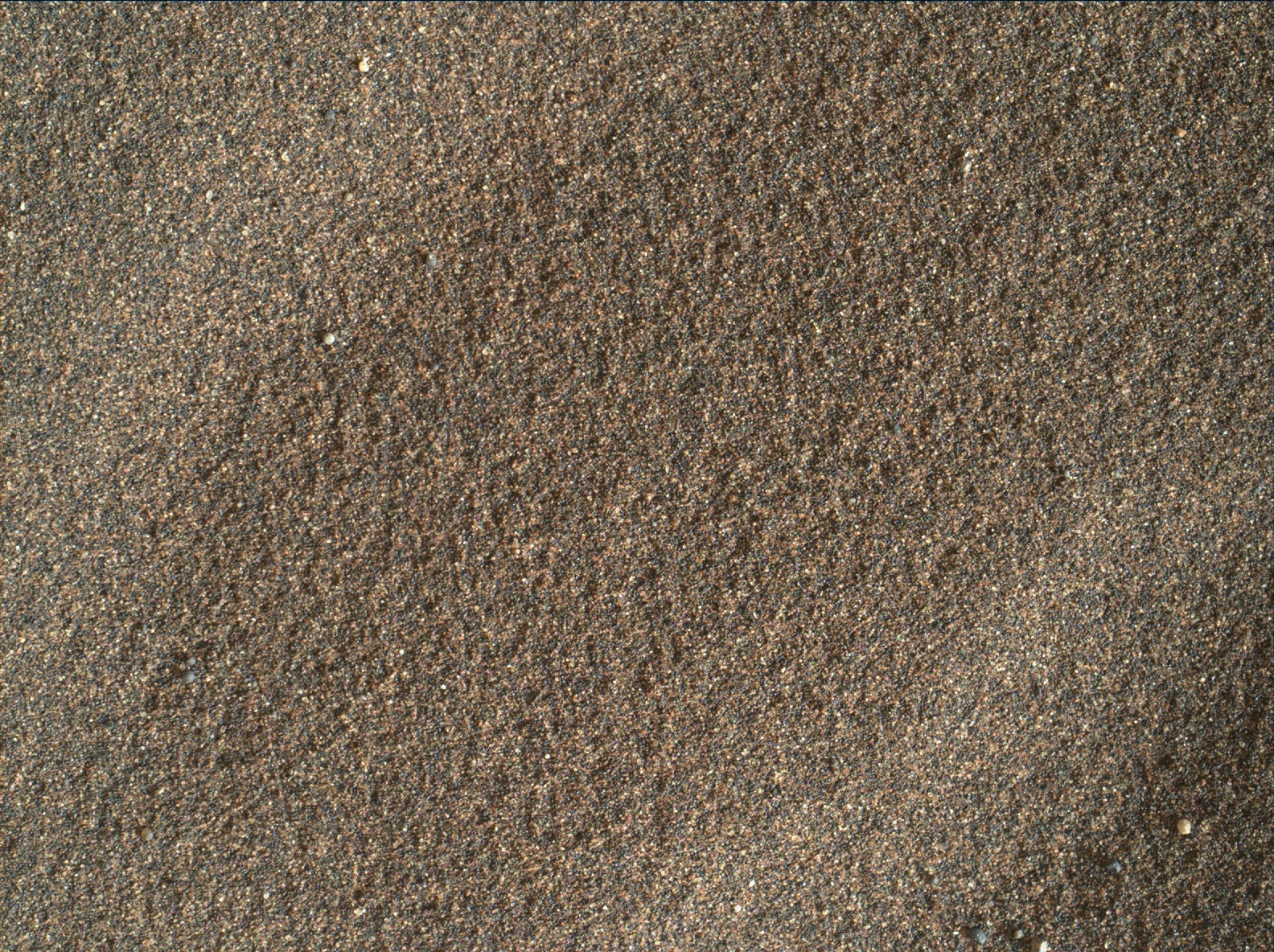 Nasa's Mars rover Curiosity acquired this image using its Mars Hand Lens Imager (MAHLI) on Sol 1619
