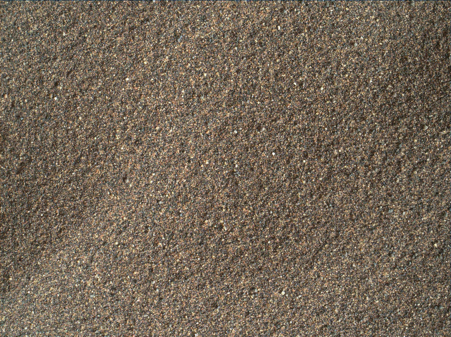 Nasa's Mars rover Curiosity acquired this image using its Mars Hand Lens Imager (MAHLI) on Sol 1619