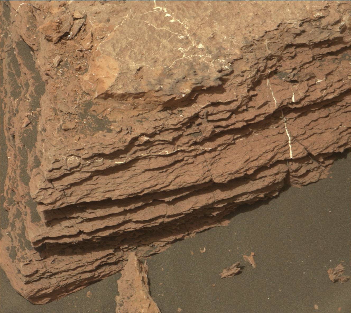 Nasa's Mars rover Curiosity acquired this image using its Mast Camera (Mastcam) on Sol 1620
