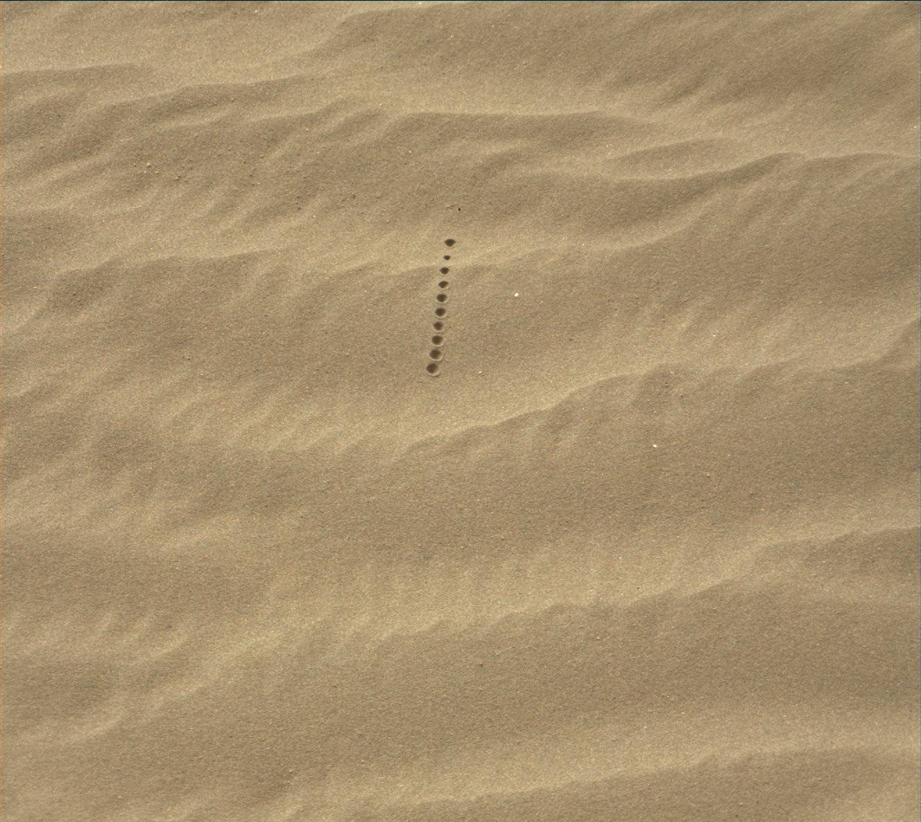 Nasa's Mars rover Curiosity acquired this image using its Mast Camera (Mastcam) on Sol 1621