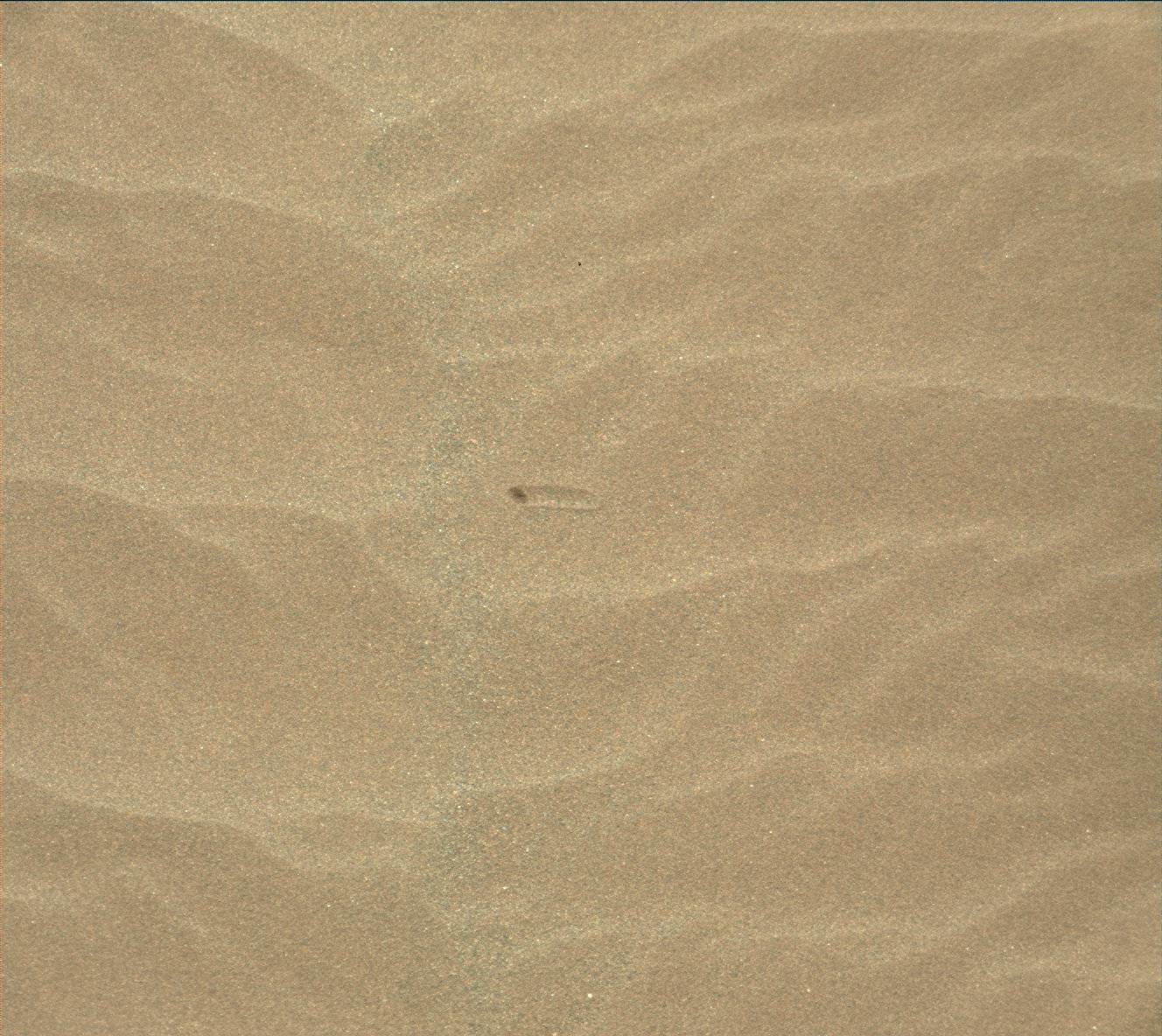 Nasa's Mars rover Curiosity acquired this image using its Mast Camera (Mastcam) on Sol 1623