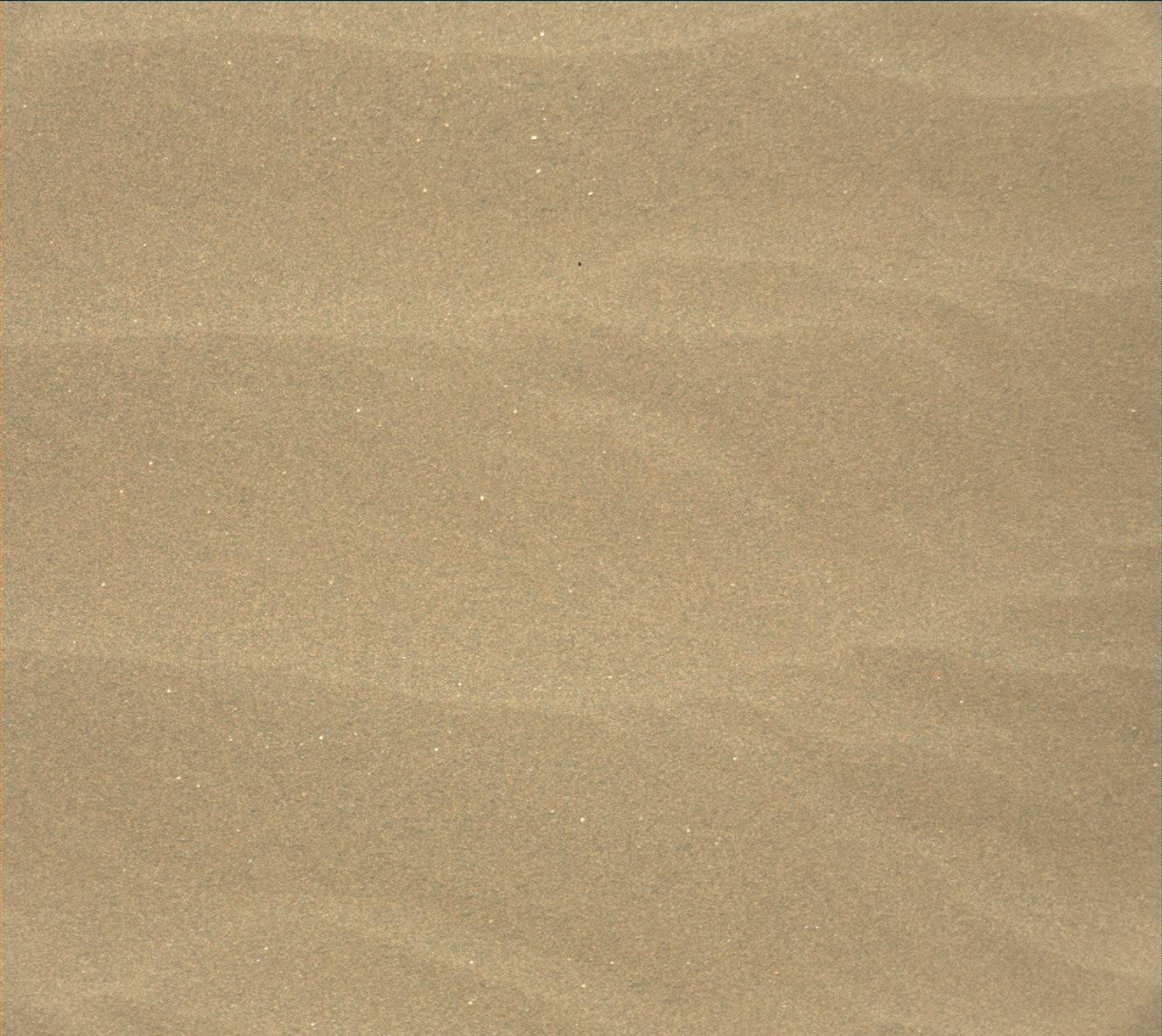 Nasa's Mars rover Curiosity acquired this image using its Mast Camera (Mastcam) on Sol 1624