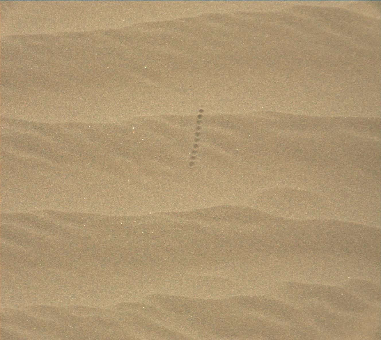 Nasa's Mars rover Curiosity acquired this image using its Mast Camera (Mastcam) on Sol 1627