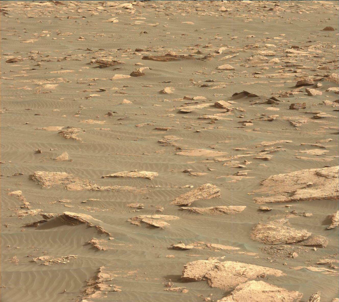 Nasa's Mars rover Curiosity acquired this image using its Mast Camera (Mastcam) on Sol 1630