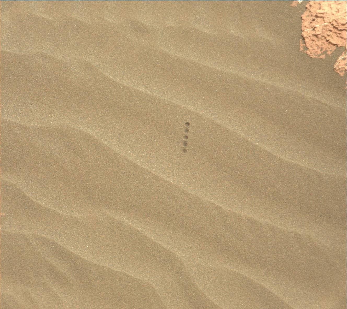 Nasa's Mars rover Curiosity acquired this image using its Mast Camera (Mastcam) on Sol 1630