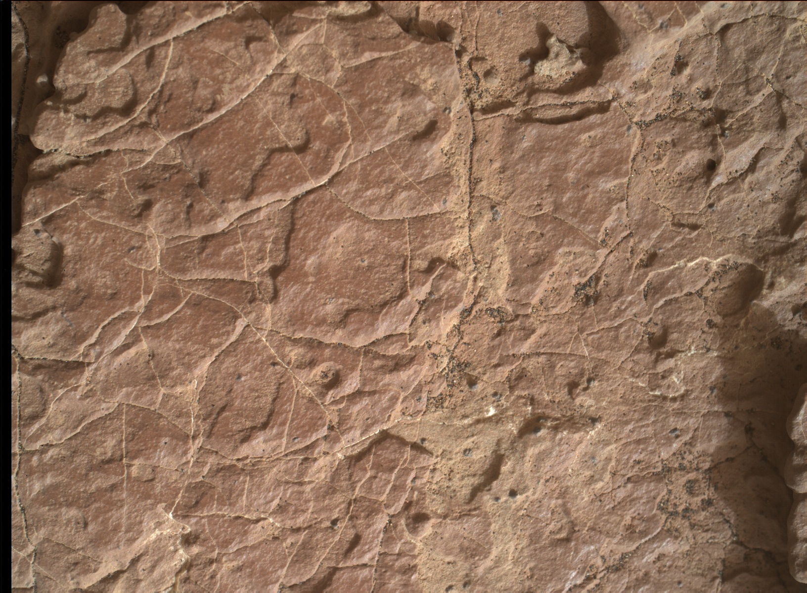 Nasa's Mars rover Curiosity acquired this image using its Mars Hand Lens Imager (MAHLI) on Sol 1634